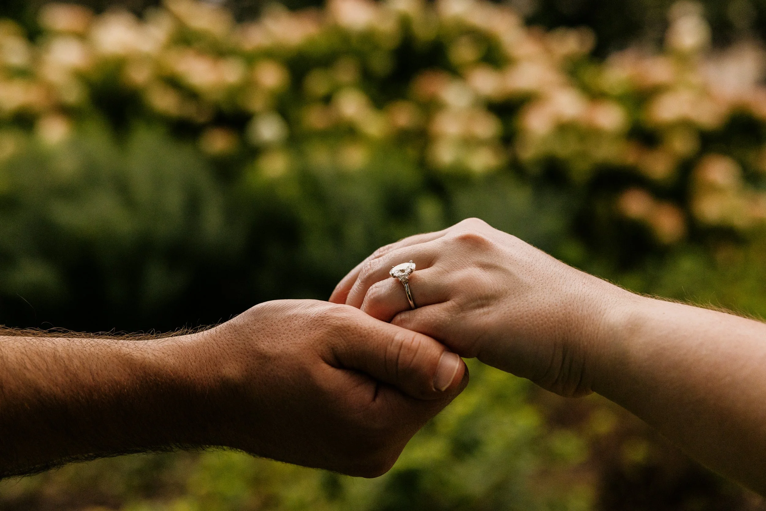 Alex Maldonado Photography- Grant Park Formal Gardens pinic proposal260826-43.jpg