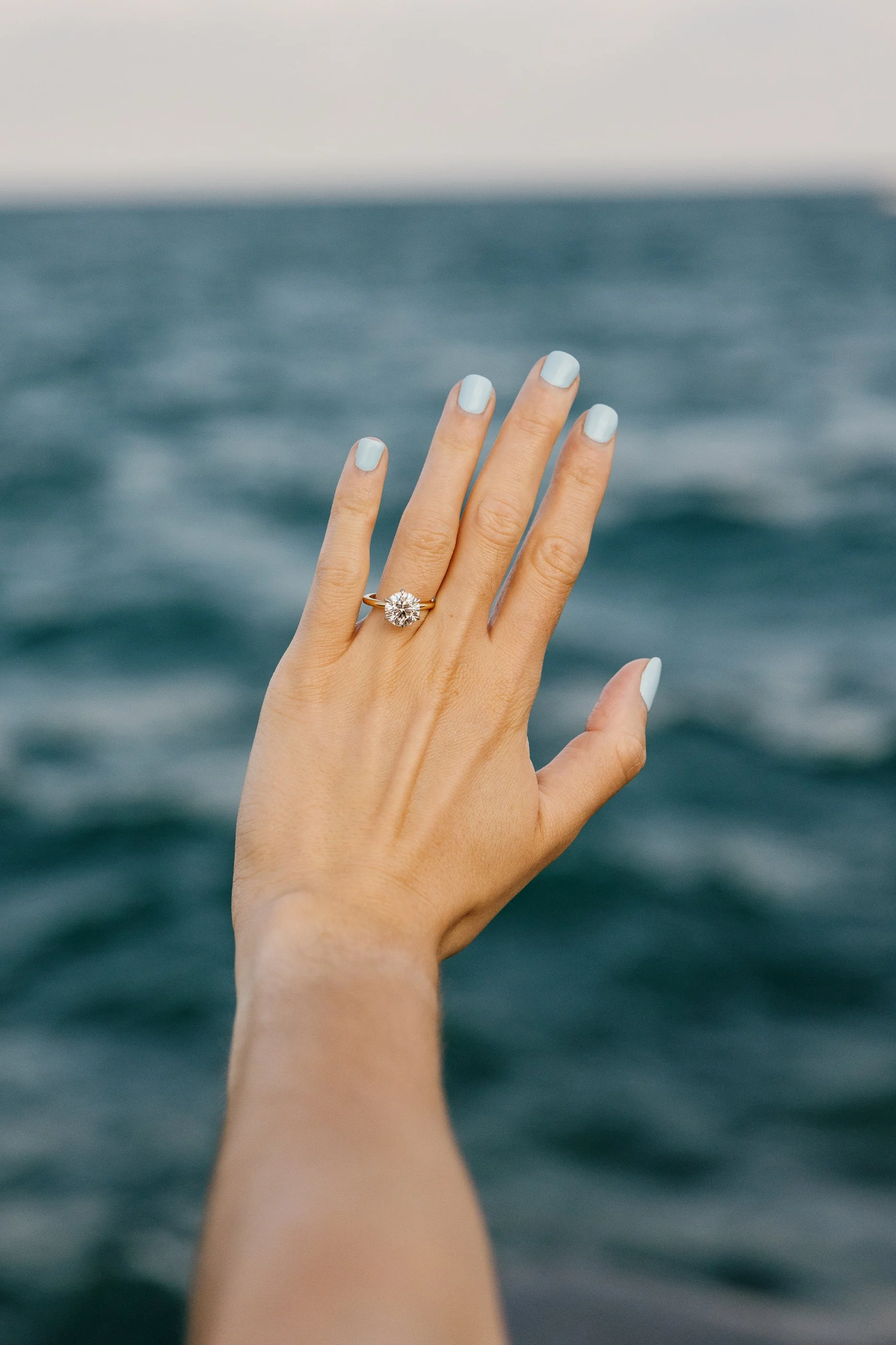 Alex Maldonado Photography- Alfred Caldwell Lily Pool proposal photogrpaher 260828-31.jpg