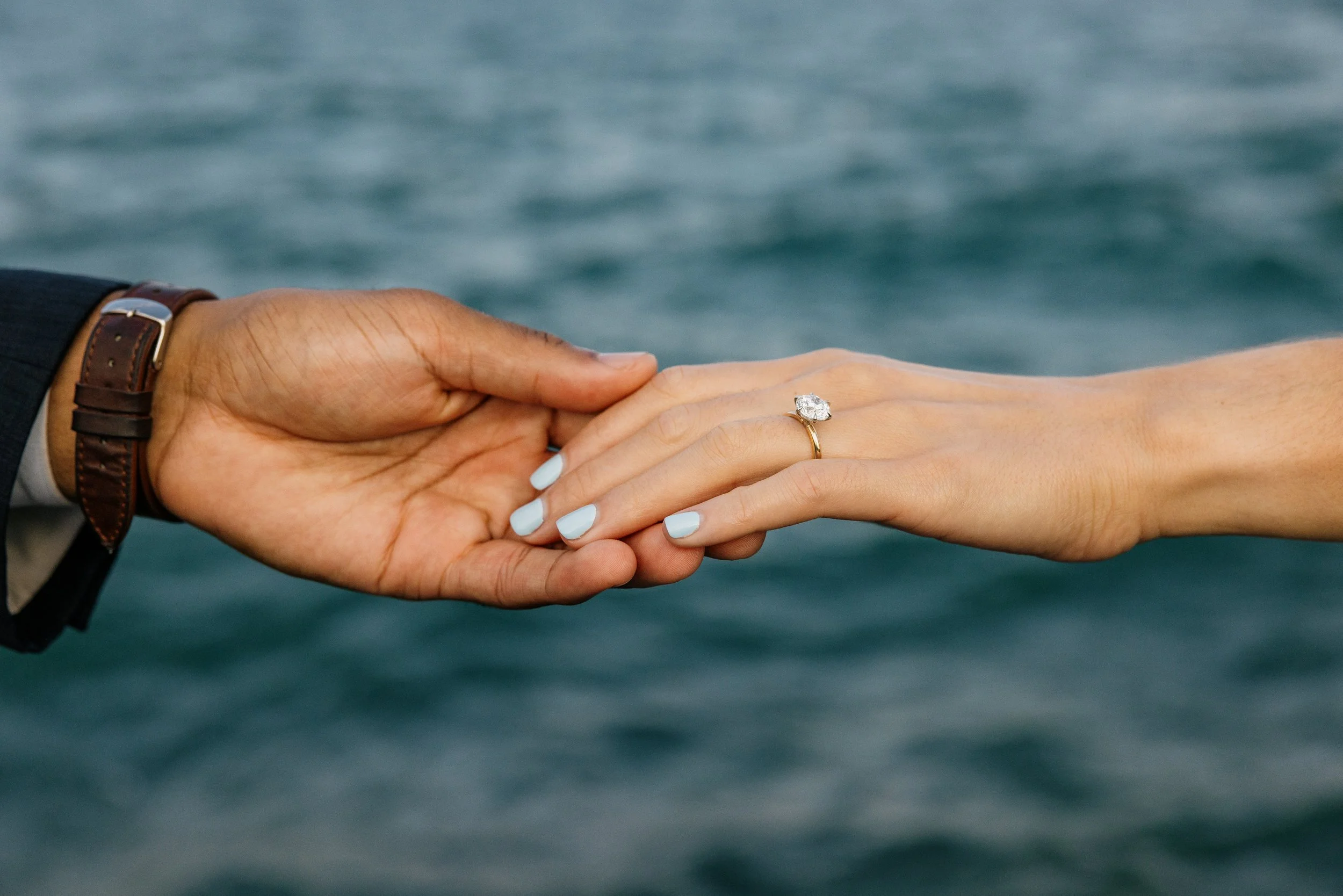 Alex Maldonado Photography- Alfred Caldwell Lily Pool proposal photogrpaher 260828-33.jpg