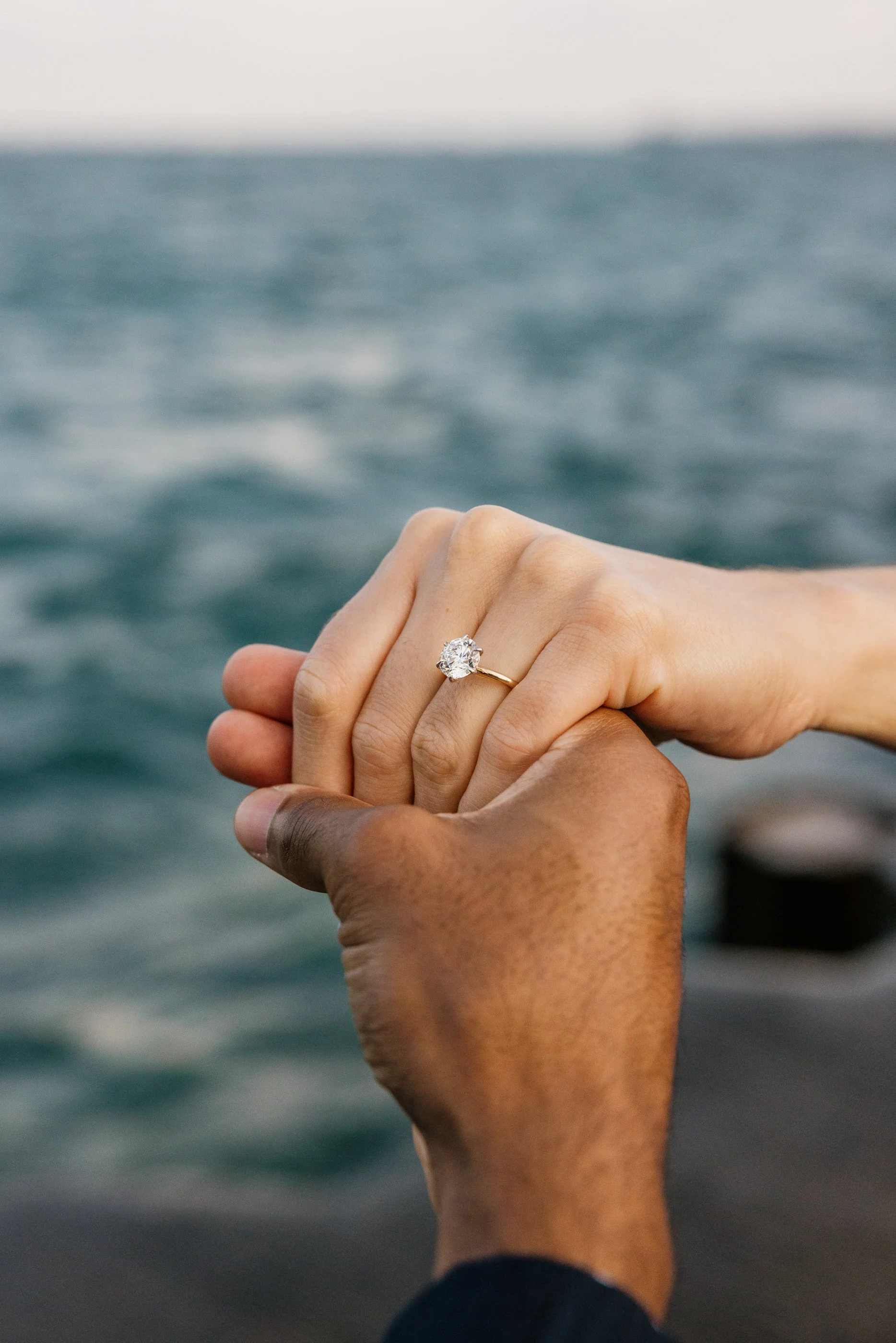 Alex Maldonado Photography- Alfred Caldwell Lily Pool proposal photogrpaher 260828-34.jpg