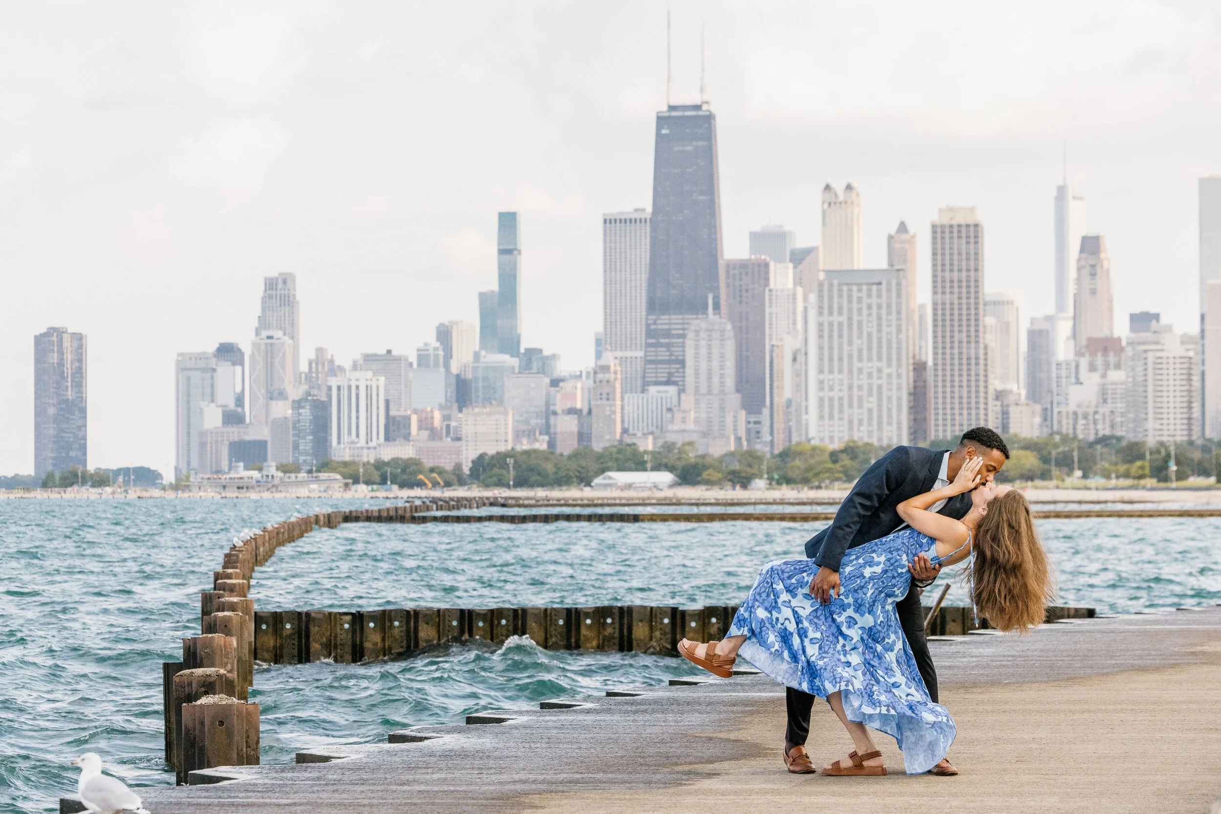 Alex Maldonado Photography- Alfred Caldwell Lily Pool proposal photogrpaher 260828-35.jpg