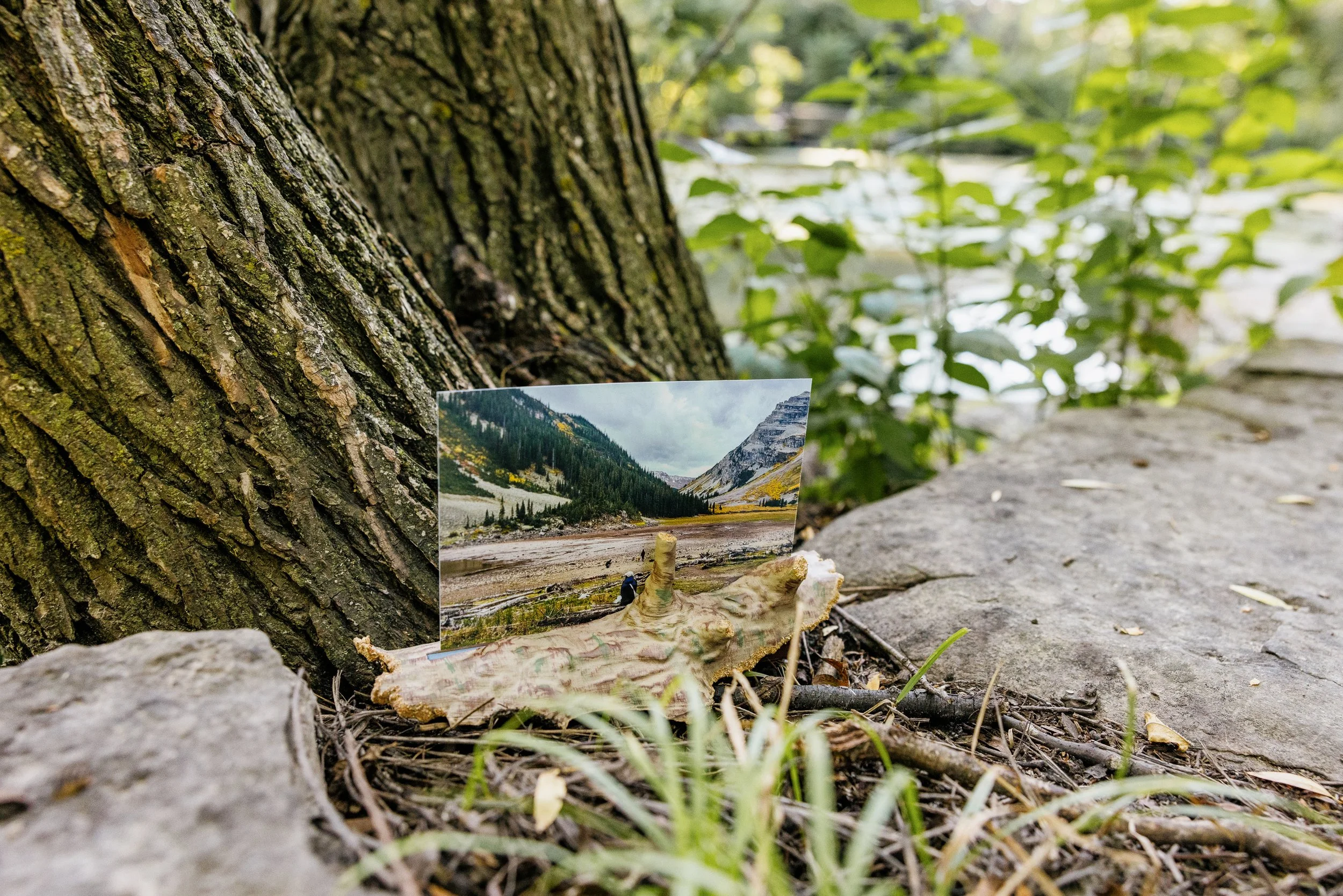 Alex Maldonado Photography-Alfred Caldwell Lily Pool pavilion Proposal 260903-1.jpg