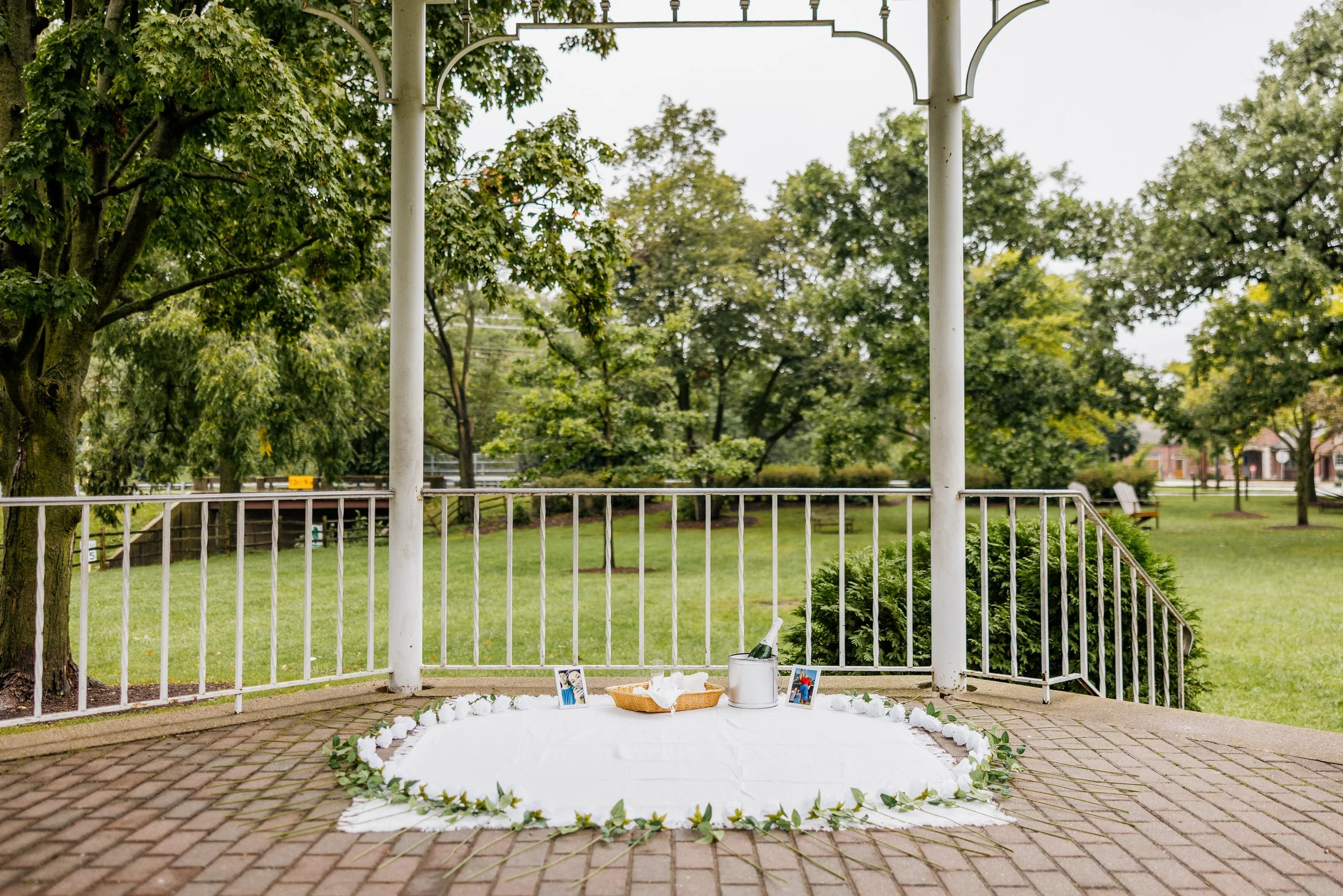 Alex Maldonado Photography-Lake Bluff IL engagement proposal 260919-3.jpg