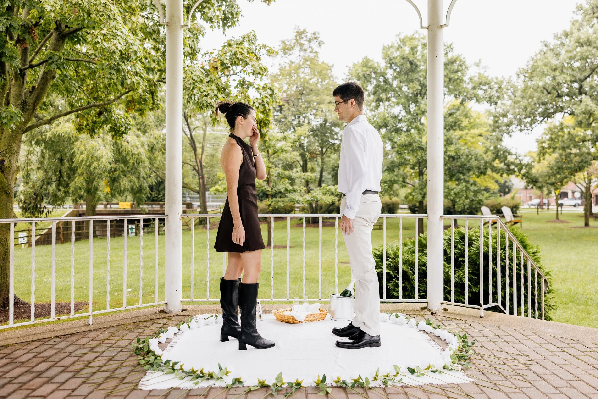 Alex Maldonado Photography-Lake Bluff IL engagement proposal 260919-8.jpg