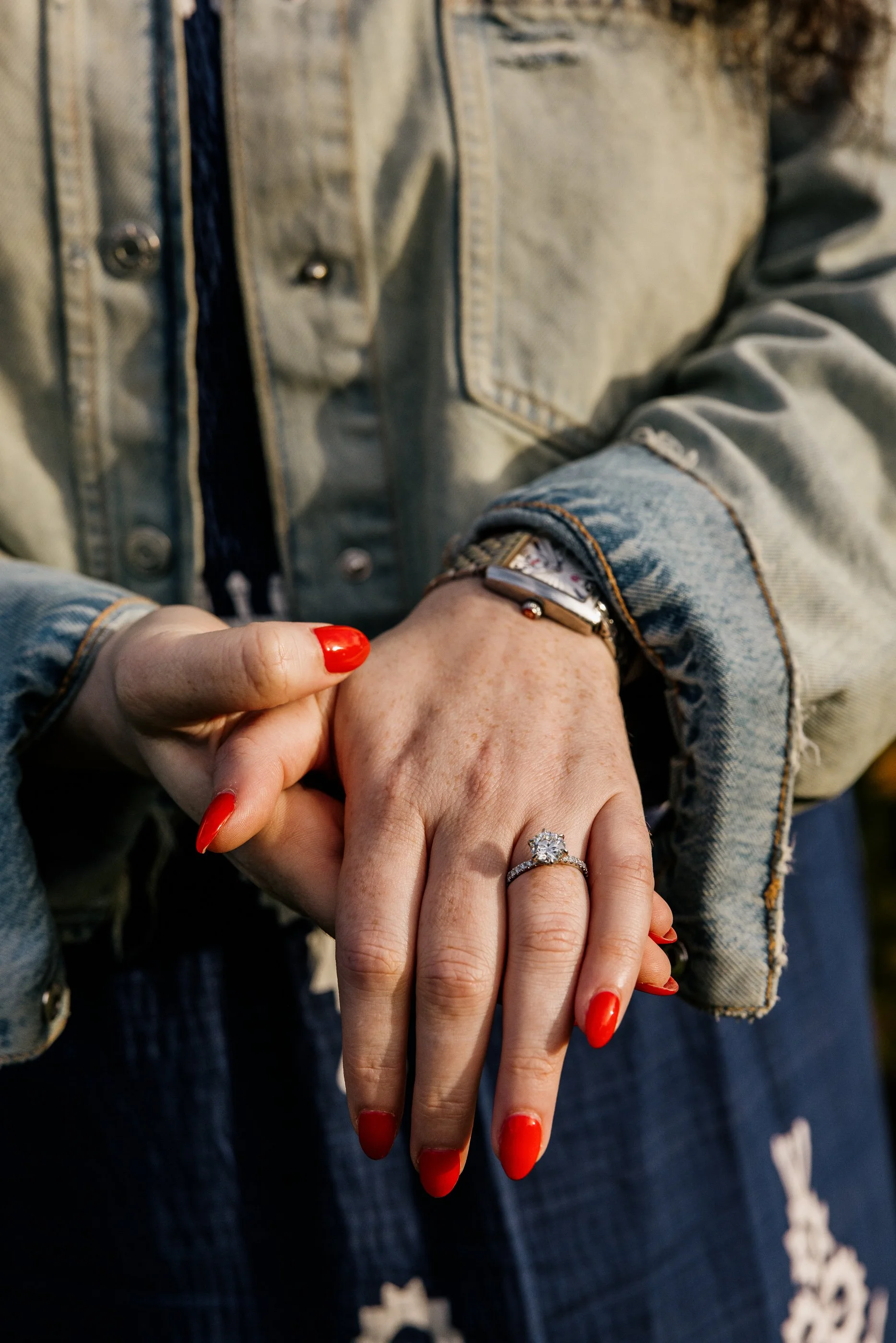 Alex Maldonado Photography-Elliot + Jen - Lincoln Park Formal Garden 260927-30.jpg