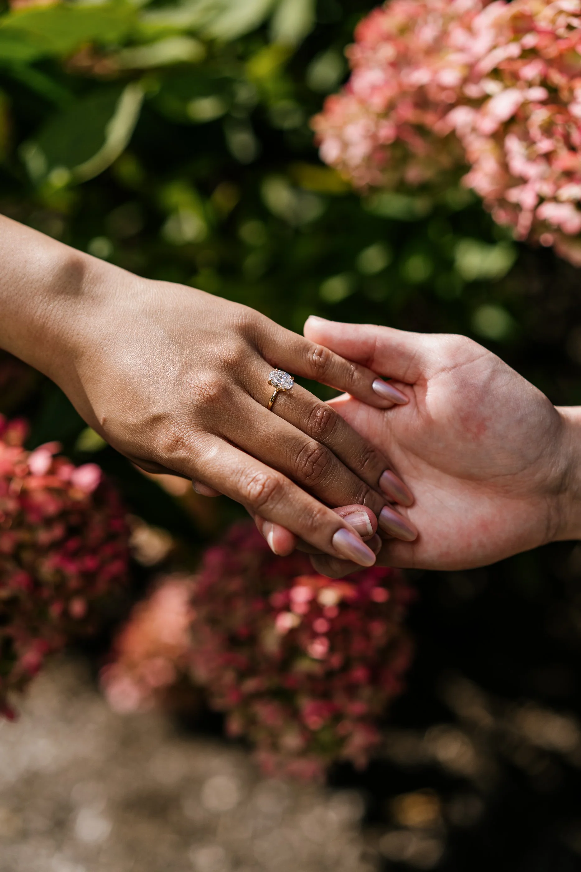 Alex Maldonado Photography-Grant Park Formal Gardens proposal 260927-35.jpg