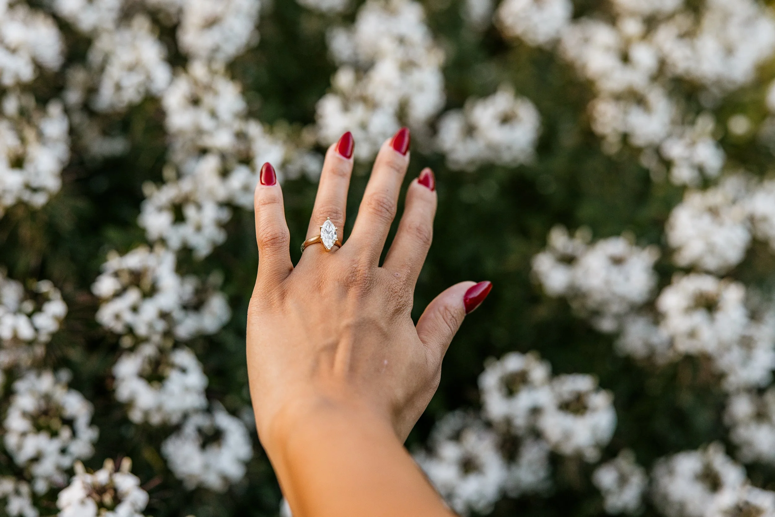 Alex Maldonado Photography-September proposal Lincoln Park Formal Garden 260927-45.jpg