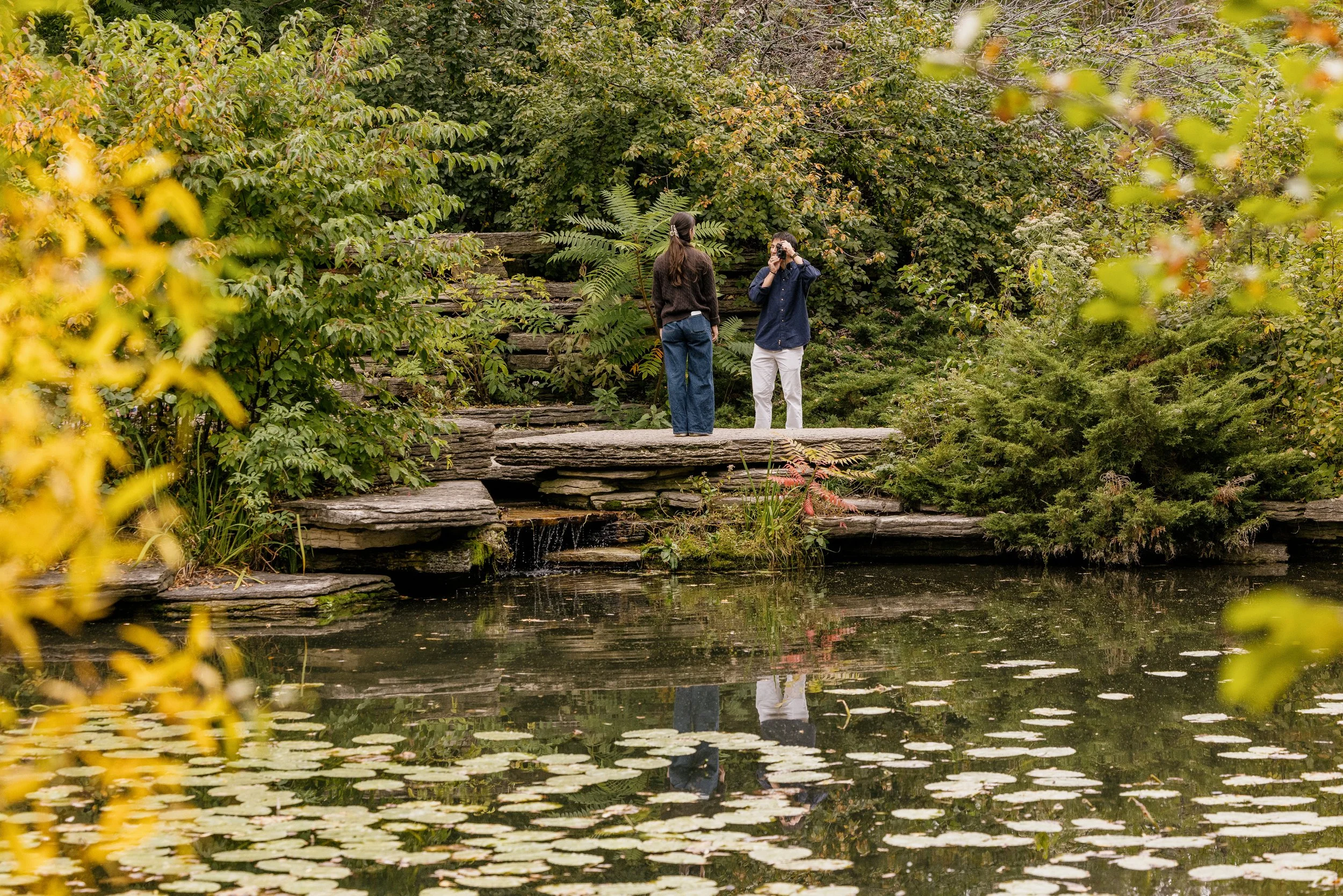 Alex Maldonado Photography-Fall Proposal Alfred Caldwell Lily Pool 261009-1.jpg