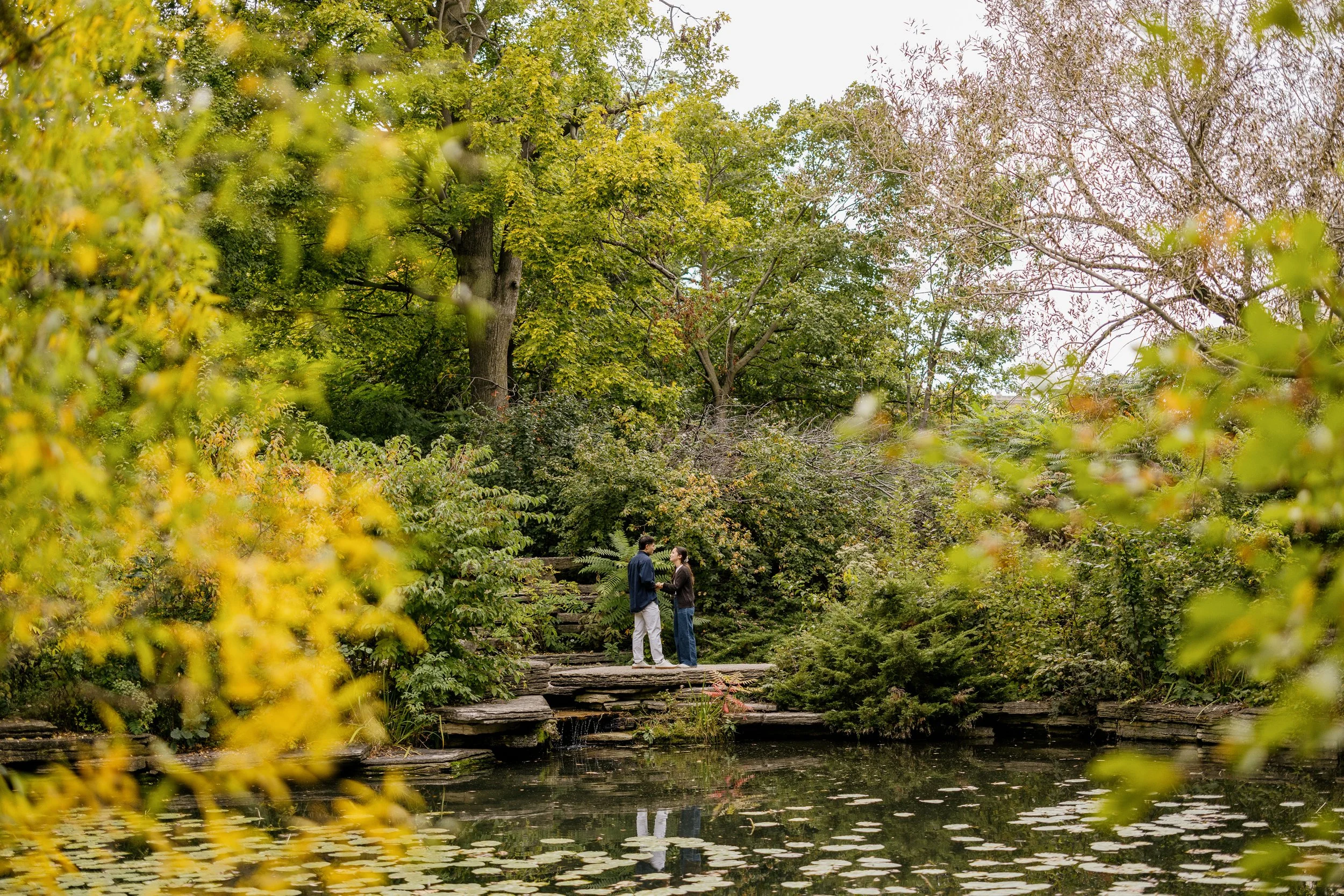 Alex Maldonado Photography-Fall Proposal Alfred Caldwell Lily Pool 261009-5.jpg