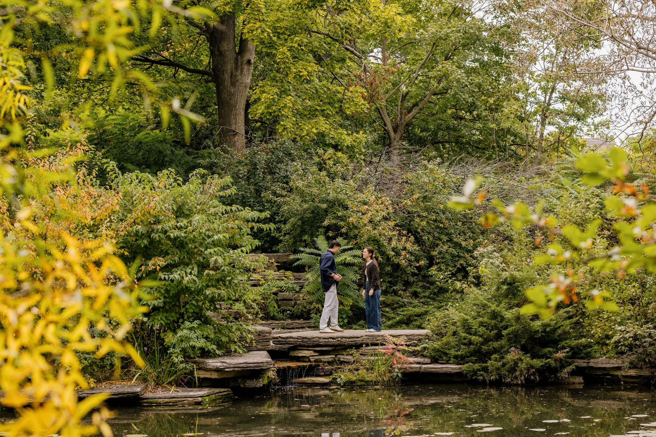 Alex Maldonado Photography-Fall Proposal Alfred Caldwell Lily Pool 261009-6.jpg