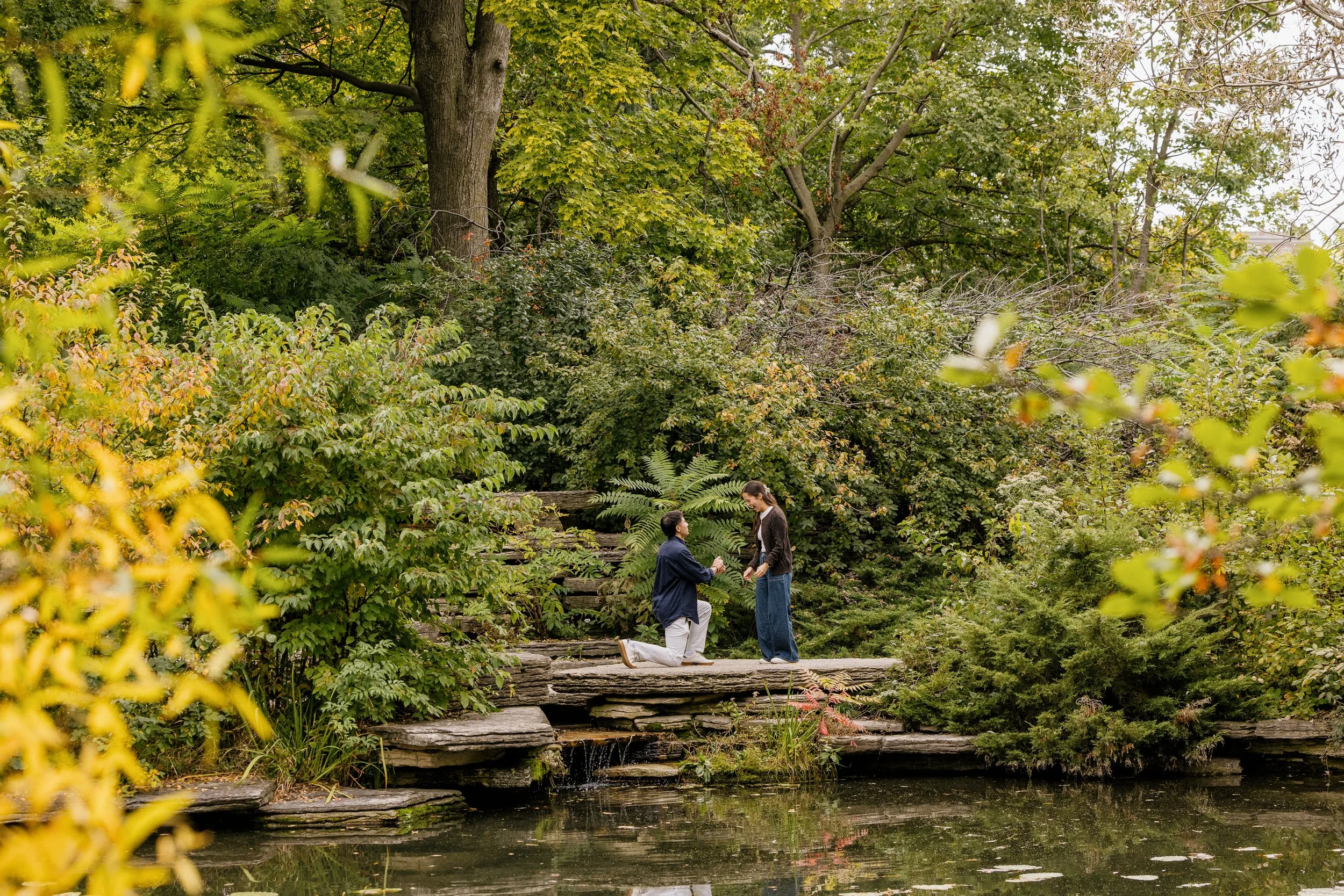 Alex Maldonado Photography-Fall Proposal Alfred Caldwell Lily Pool 261009-7.jpg