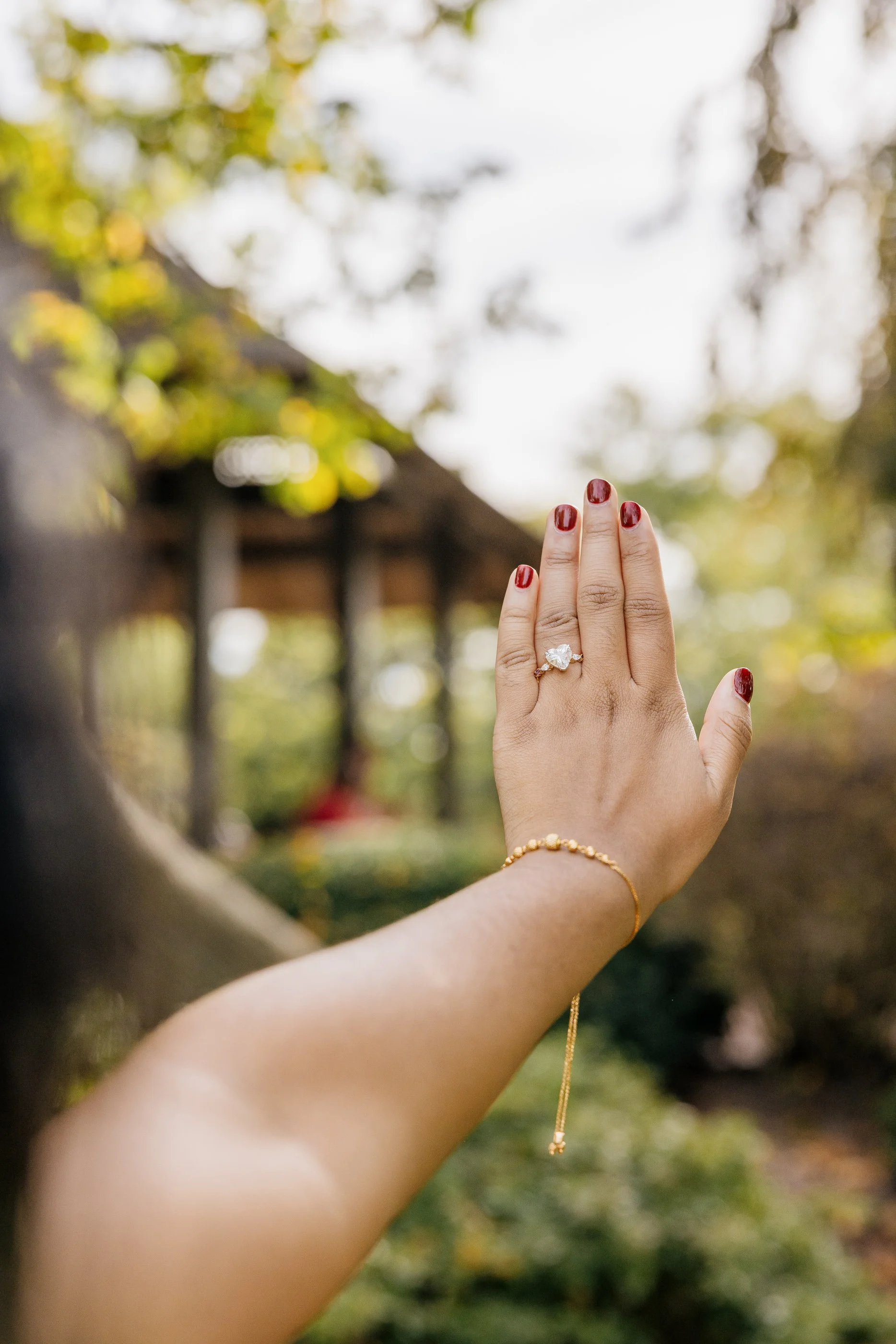 Alex Maldonado Photography- Osaka Garden Fall engagement proposal 261010-24.jpg