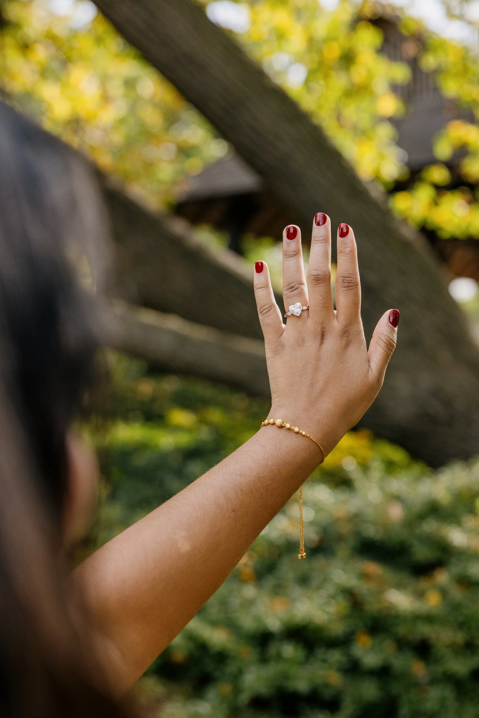 Alex Maldonado Photography- Osaka Garden Fall engagement proposal 261010-25.jpg