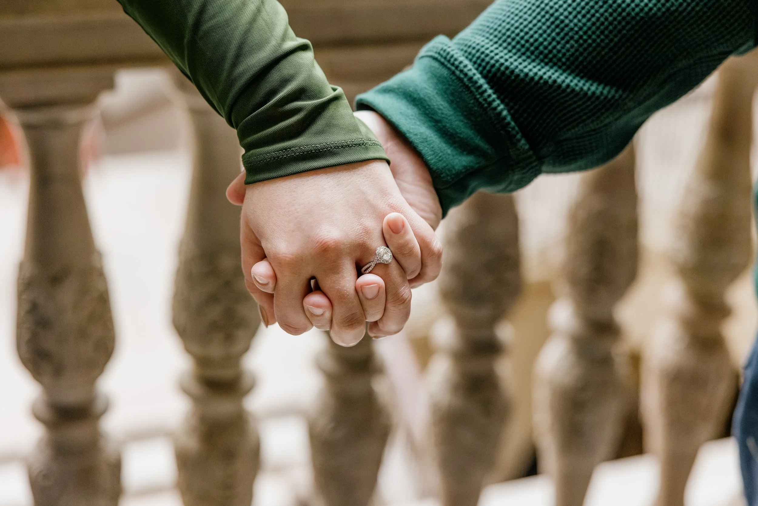 Alex Maldonado Photography-Art institute of Chicago South Garden proposal 261016-68.jpg
