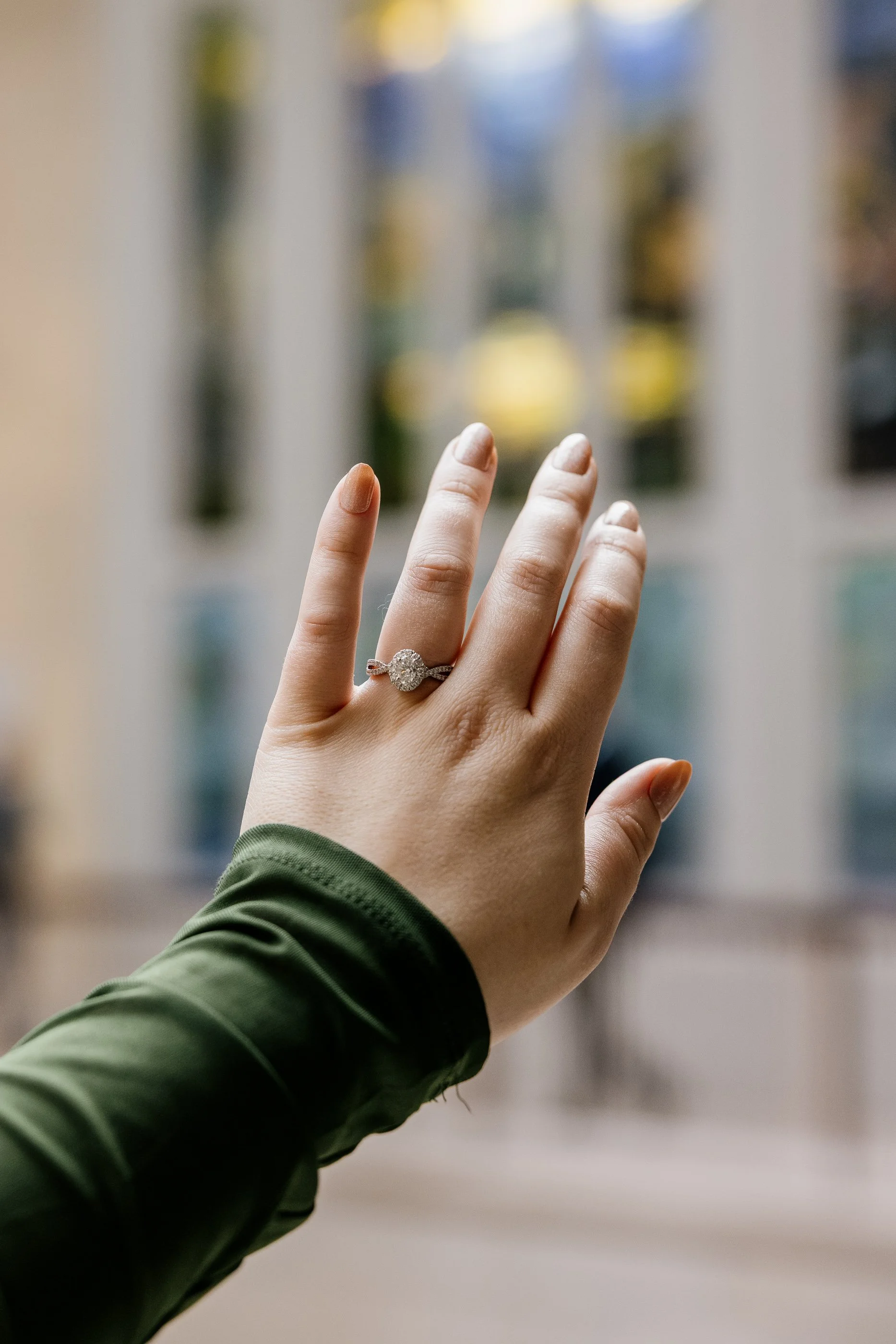 Alex Maldonado Photography-Art institute of Chicago South Garden proposal 261016-69.jpg