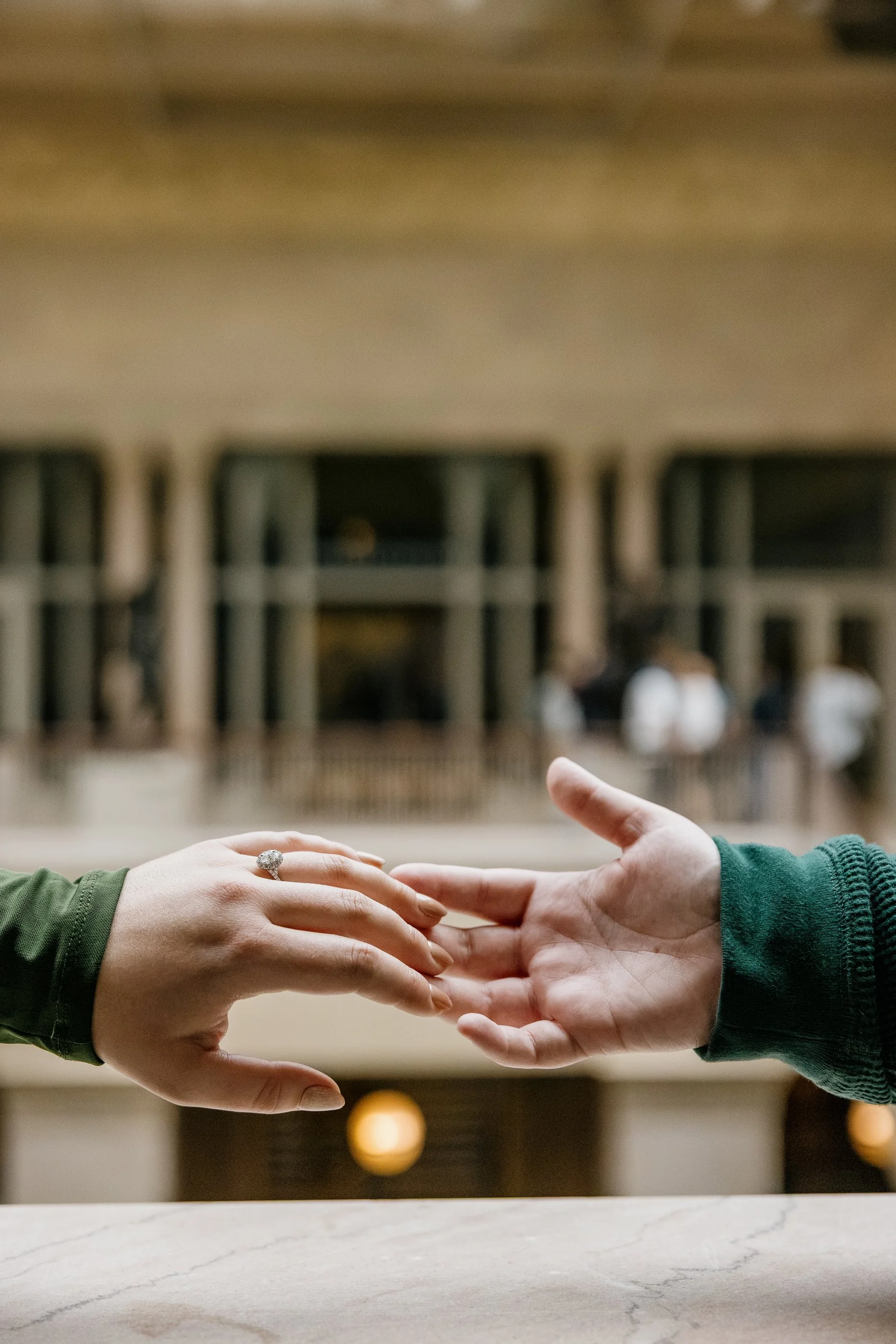 Alex Maldonado Photography-Art institute of Chicago South Garden proposal 261016-70.jpg