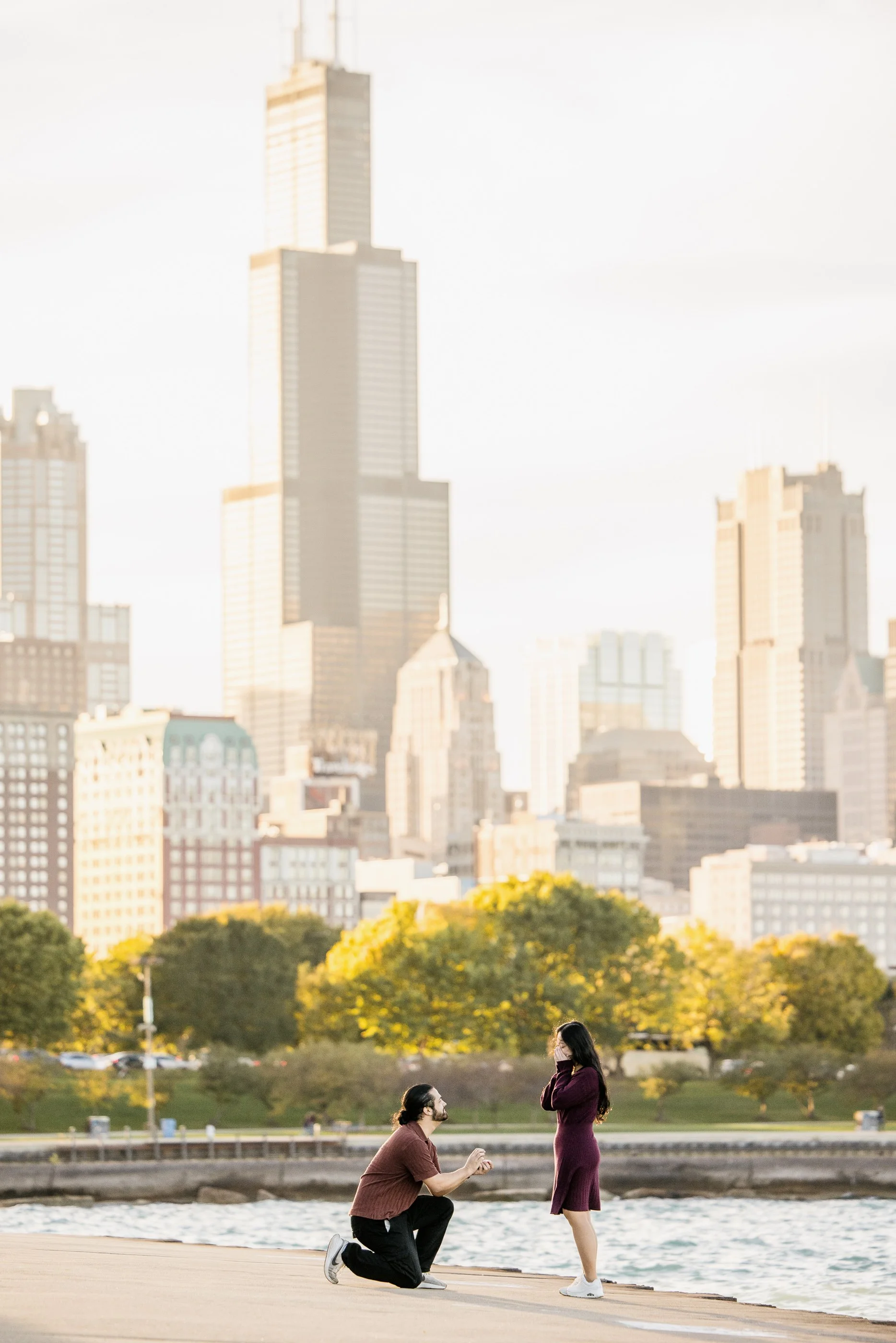 Alex Maldonado Photography - shedd Aquarium engagement proposal 261019-5.jpg