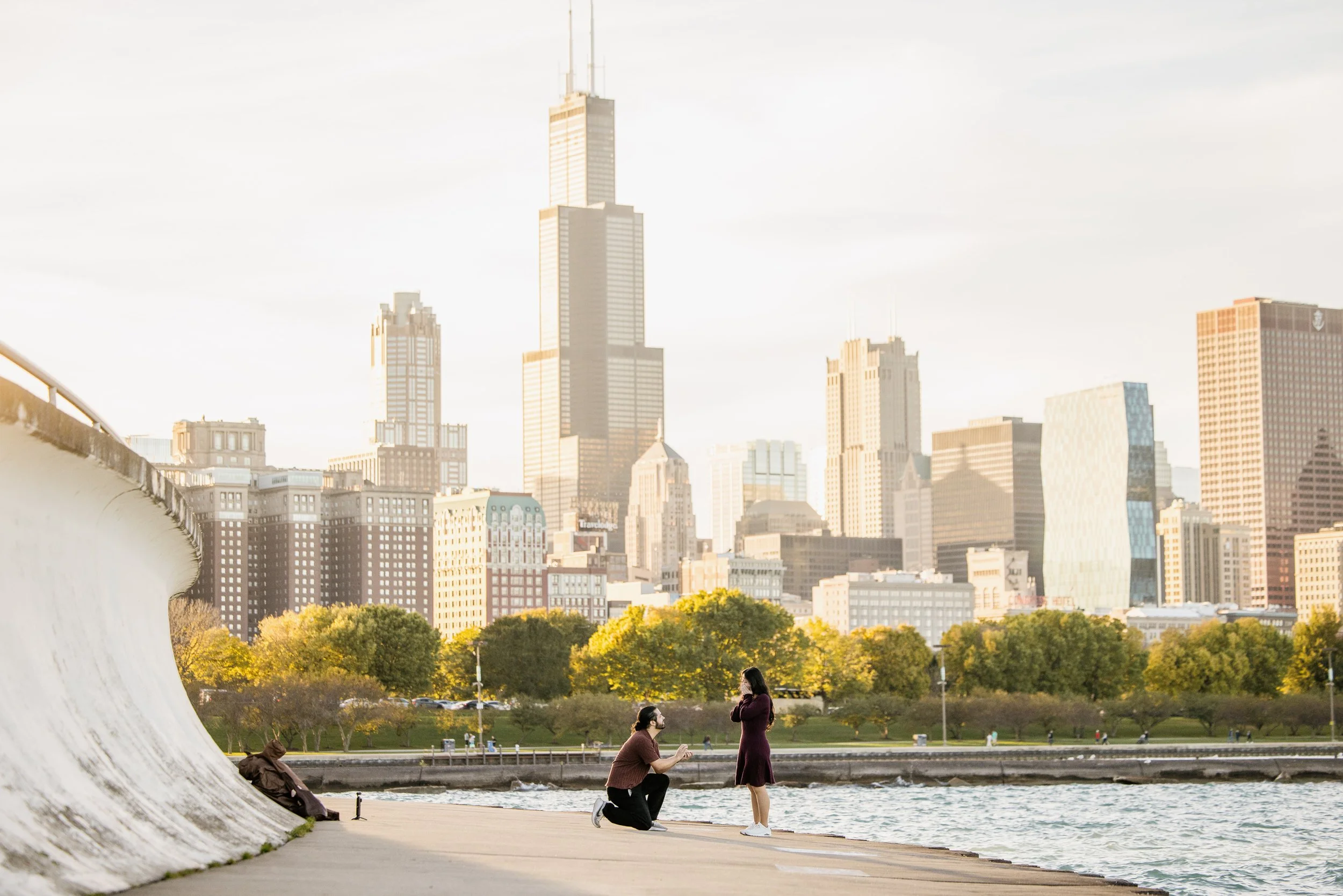 Alex Maldonado Photography - shedd Aquarium engagement proposal 261019-8.jpg