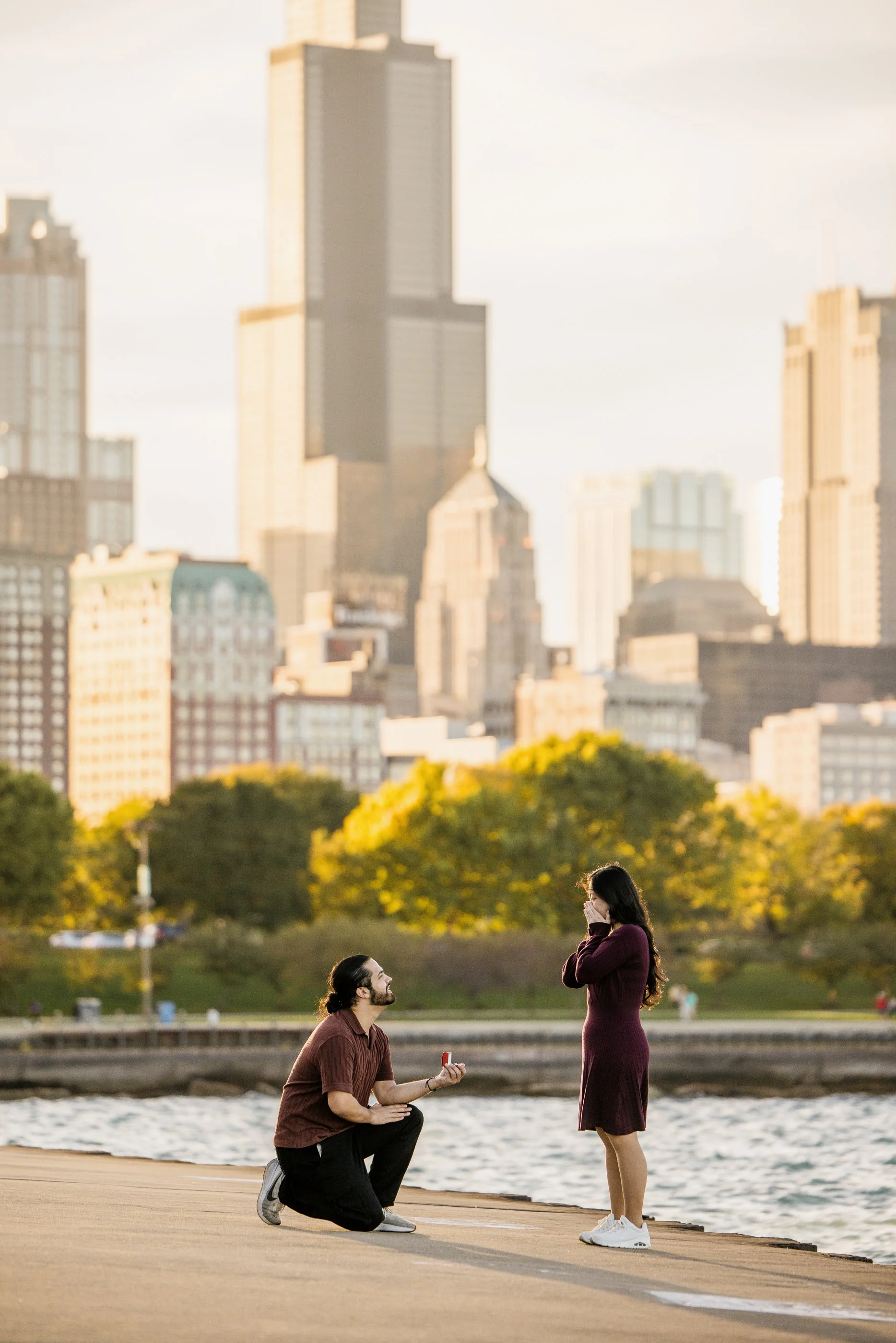 Alex Maldonado Photography - shedd Aquarium engagement proposal 261019-10.jpg