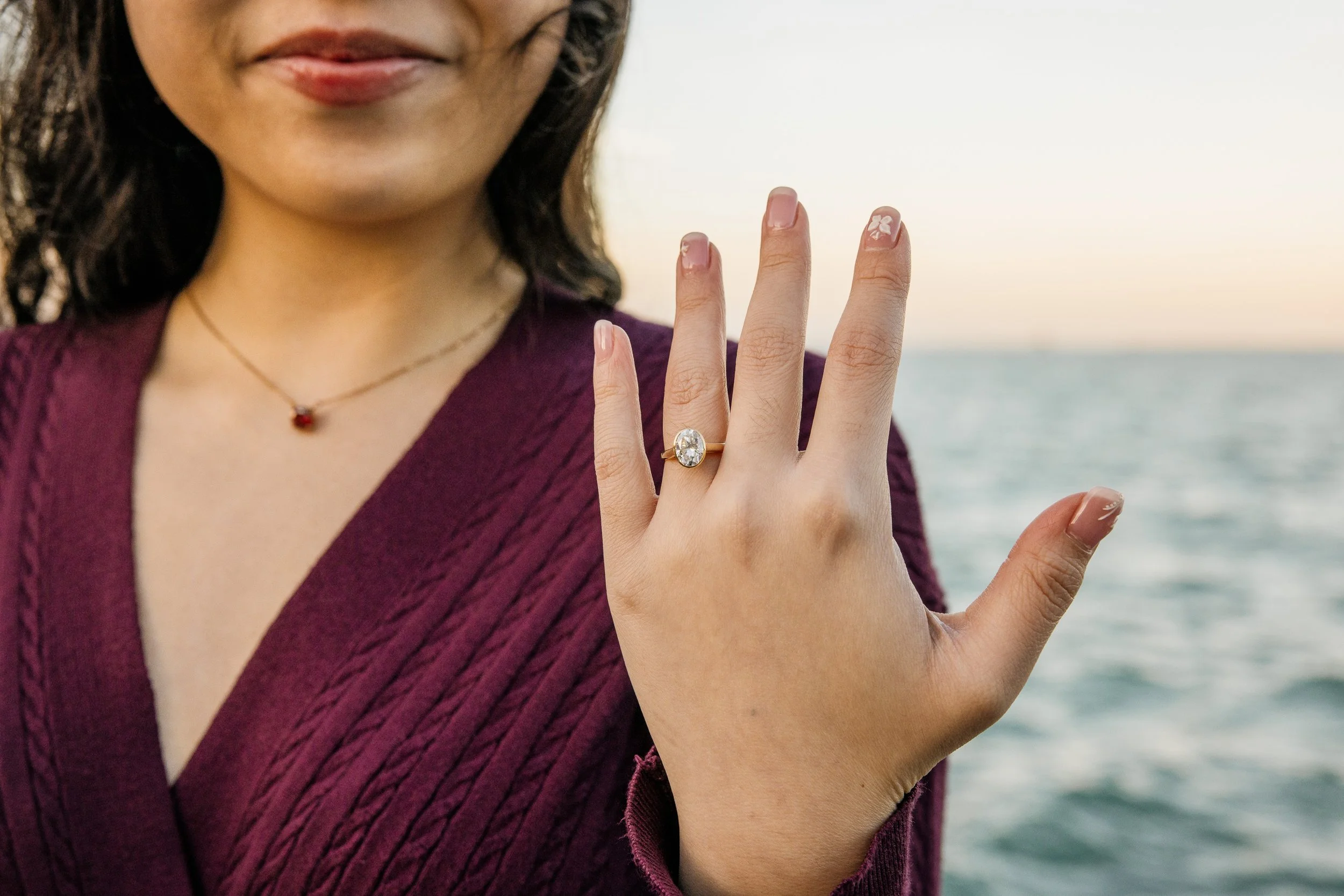 Alex Maldonado Photography - shedd Aquarium engagement proposal 261019-32.jpg