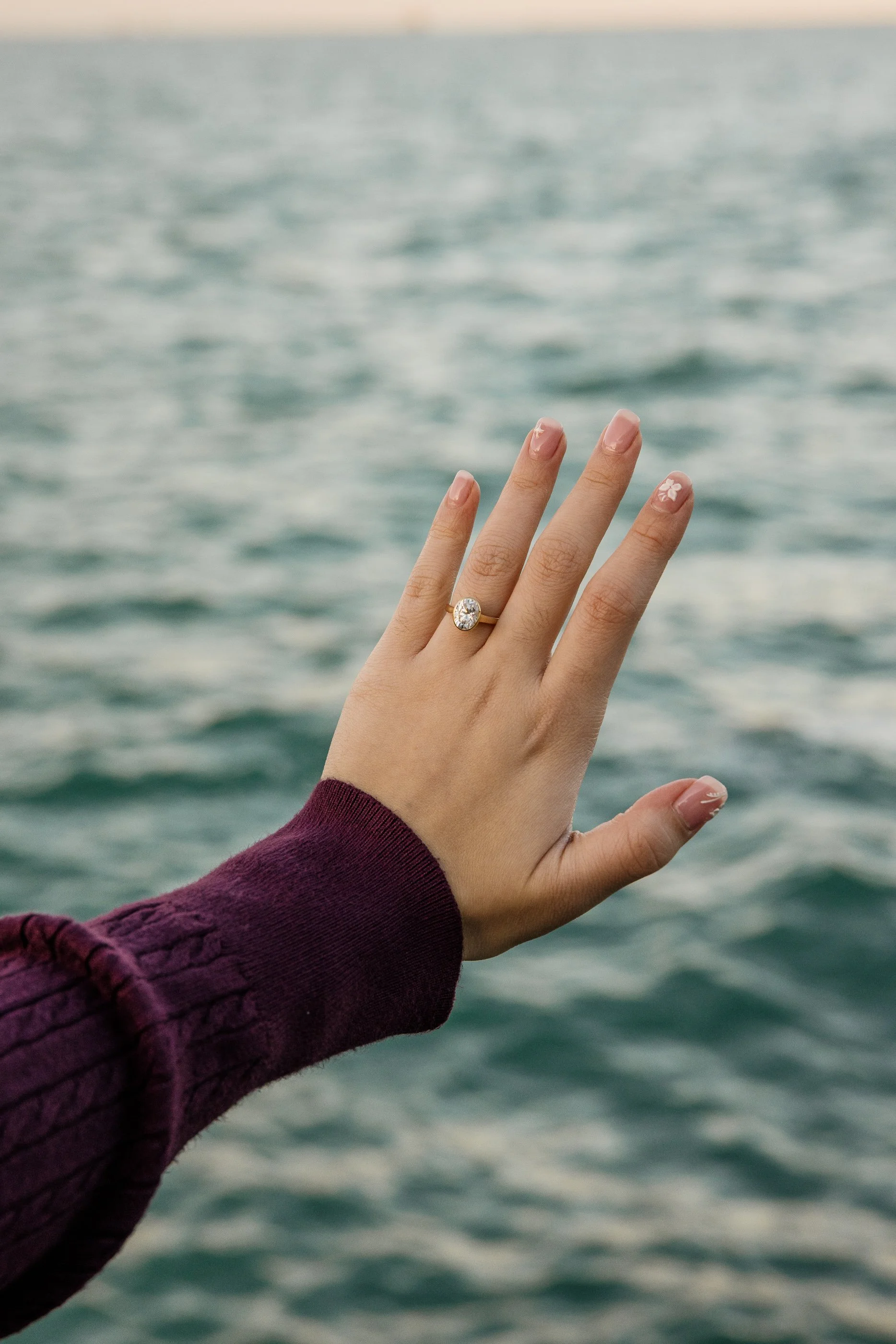 Alex Maldonado Photography - shedd Aquarium engagement proposal 261019-33.jpg
