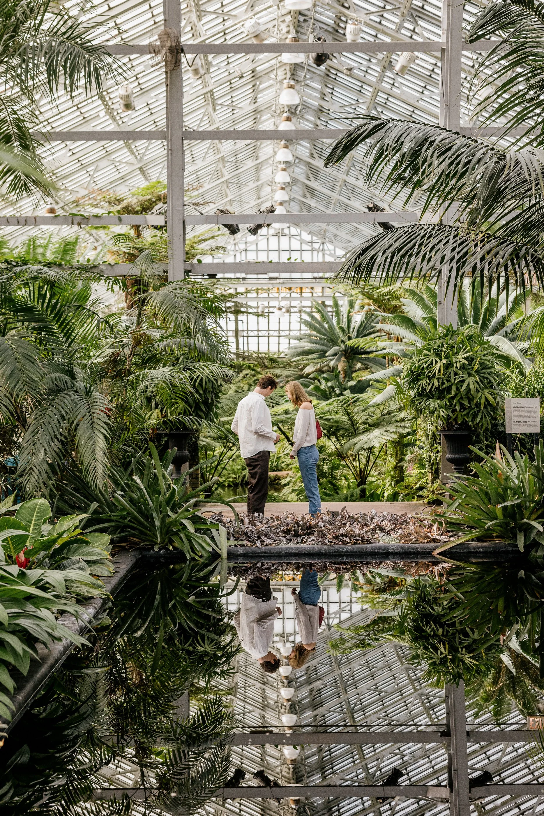 Alex Maldonado Photography-Cole + Kristen - Garfield Park Conservatory261024-2.jpg