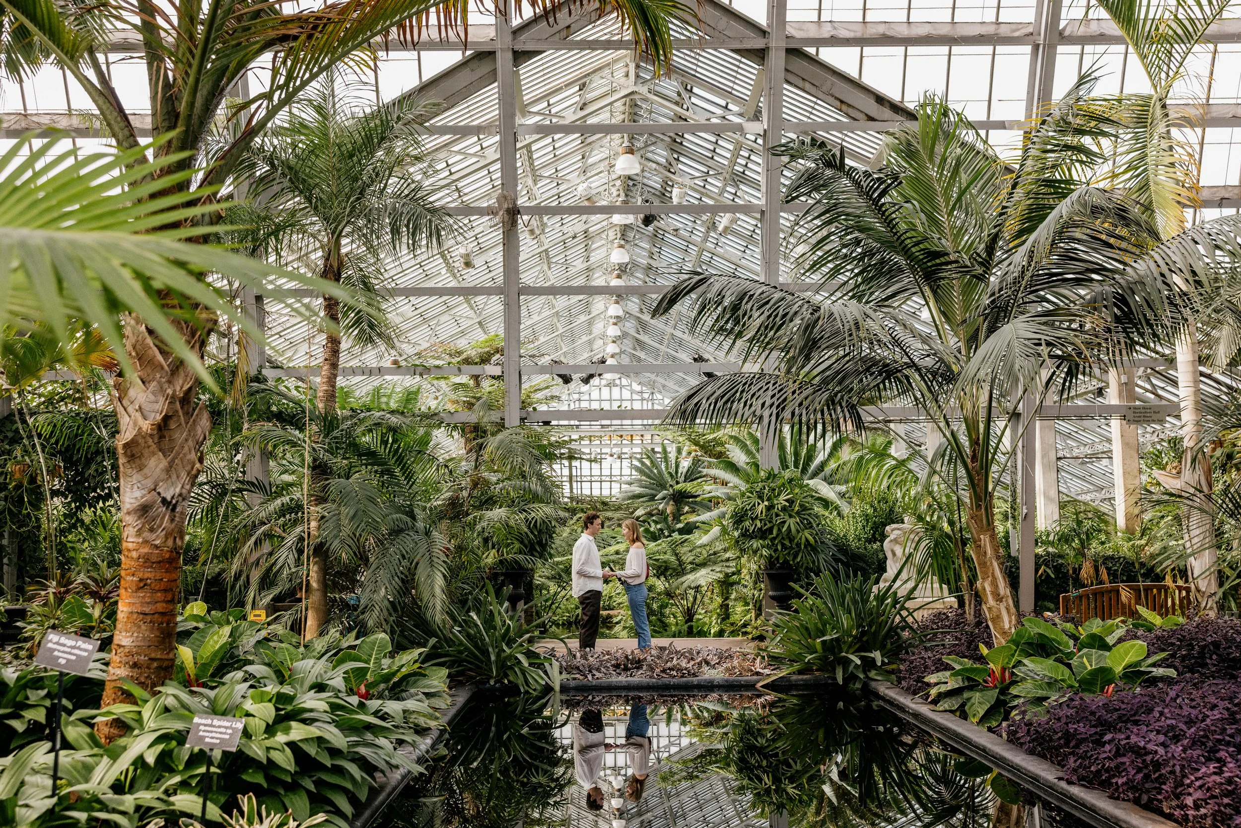 Alex Maldonado Photography-Cole + Kristen - Garfield Park Conservatory261024-1.jpg