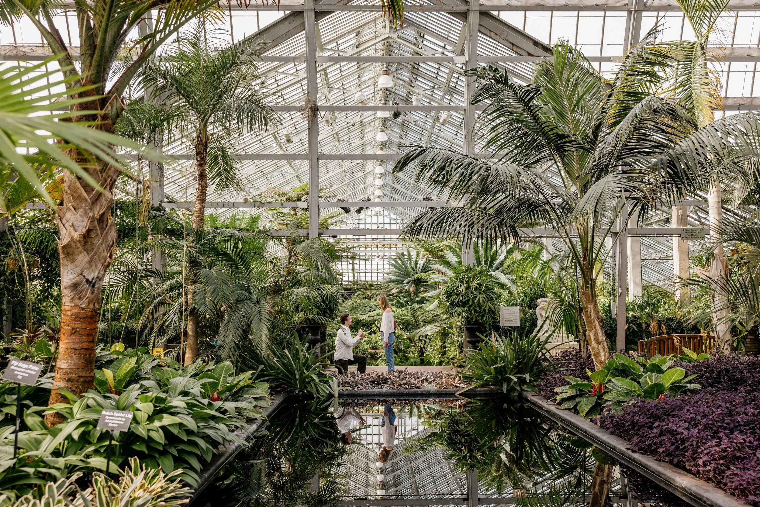 Alex Maldonado Photography-Cole + Kristen - Garfield Park Conservatory261024-3.jpg