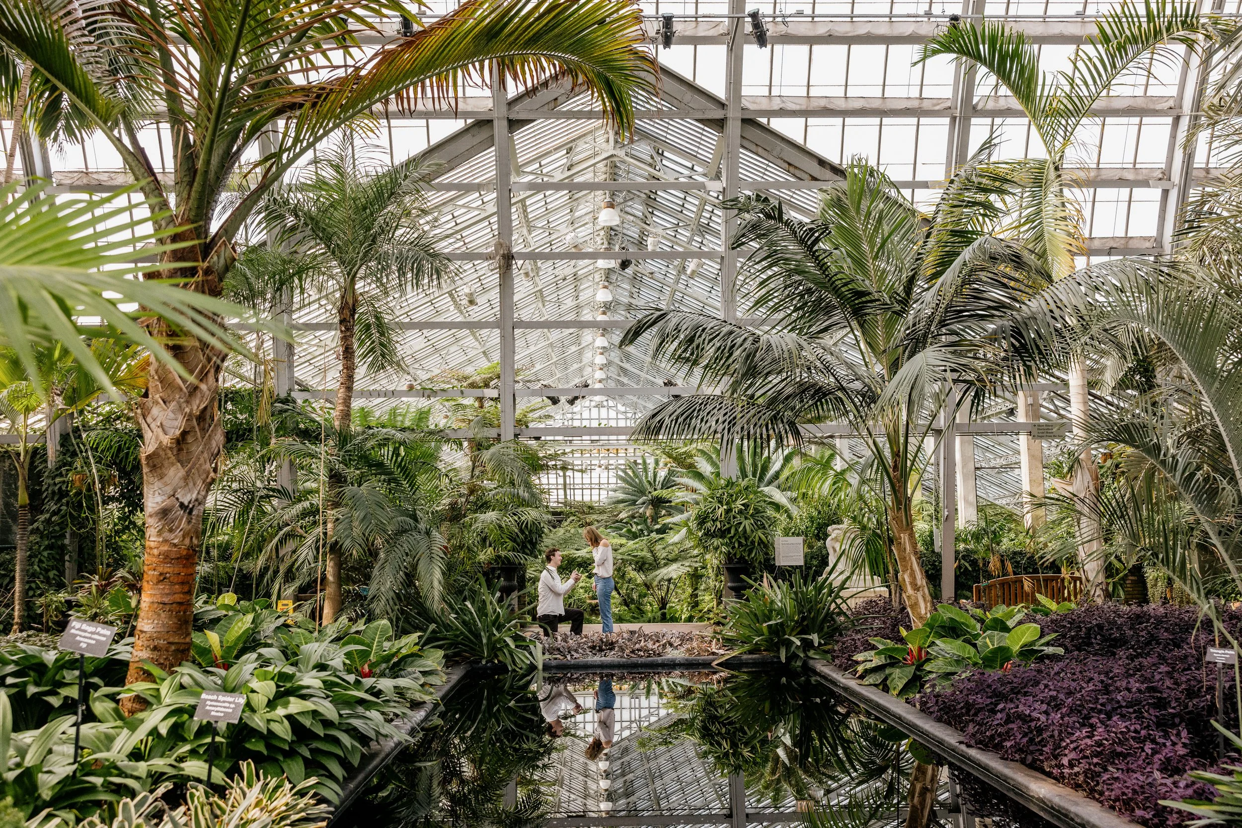 Alex Maldonado Photography-Cole + Kristen - Garfield Park Conservatory261024-4.jpg