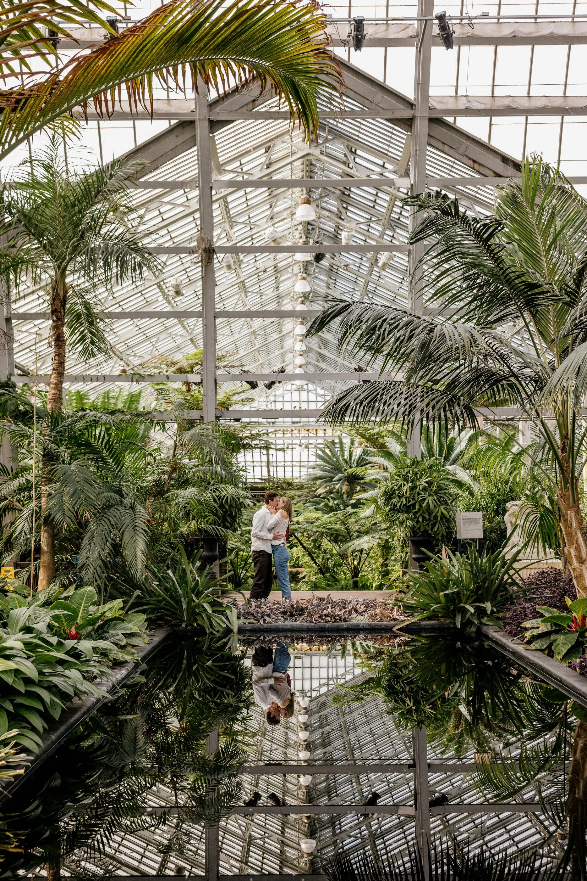 Alex Maldonado Photography-Cole + Kristen - Garfield Park Conservatory261024-7.jpg