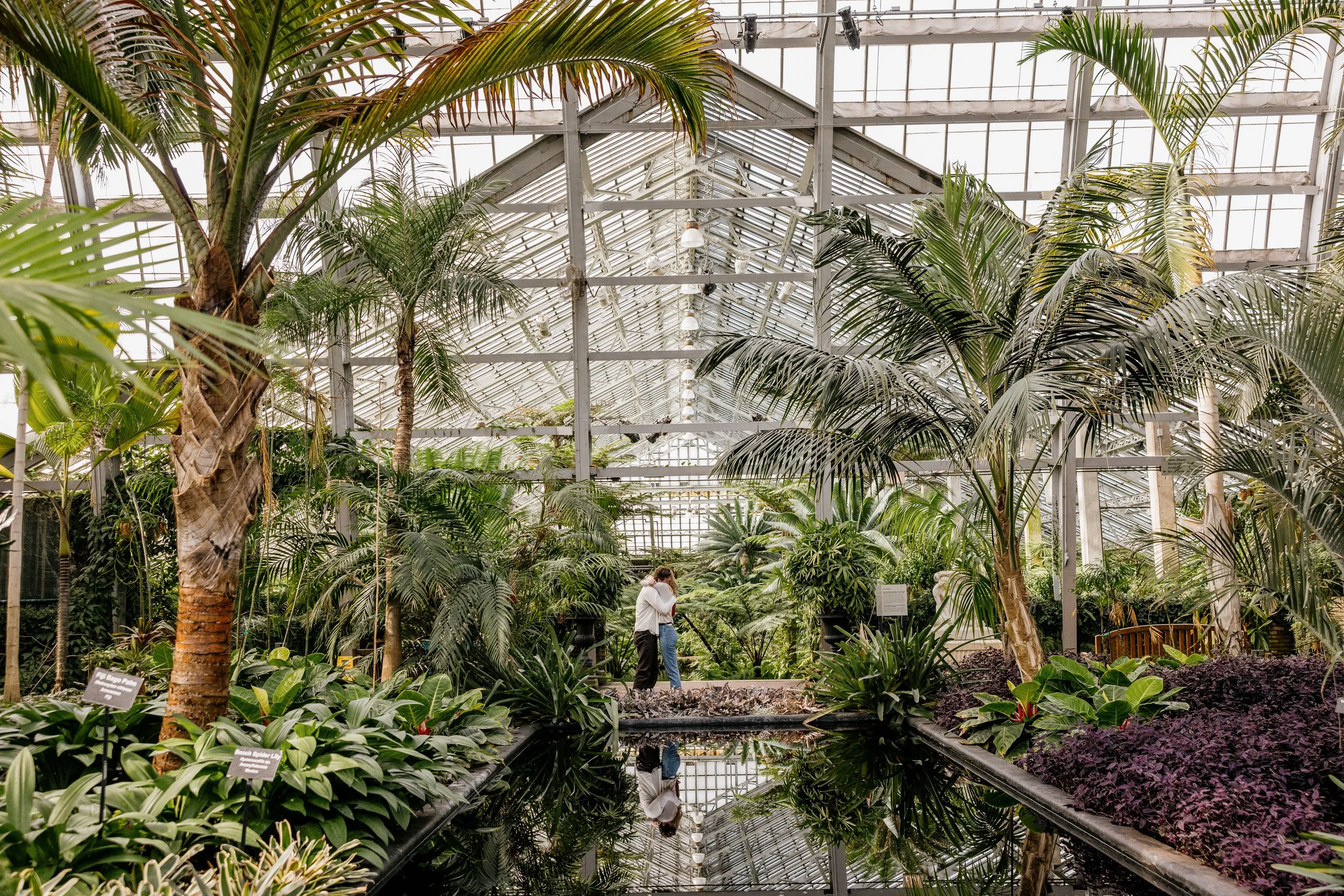 Alex Maldonado Photography-Cole + Kristen - Garfield Park Conservatory261024-8.jpg