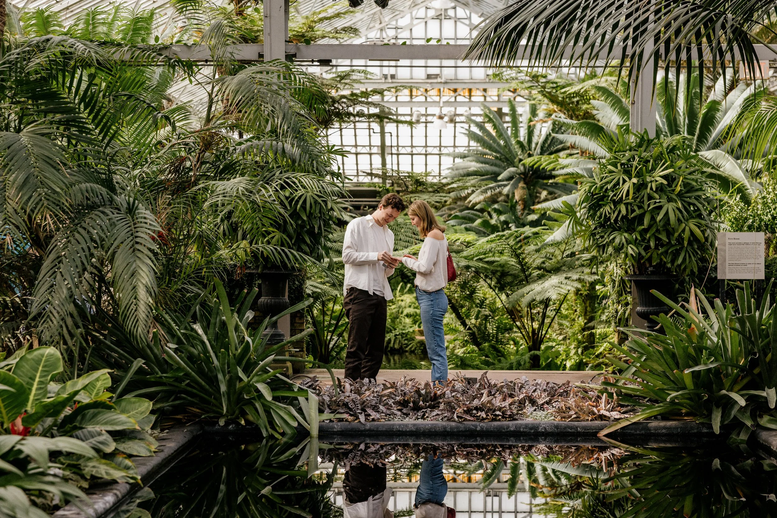 Alex Maldonado Photography-Cole + Kristen - Garfield Park Conservatory261024-9.jpg