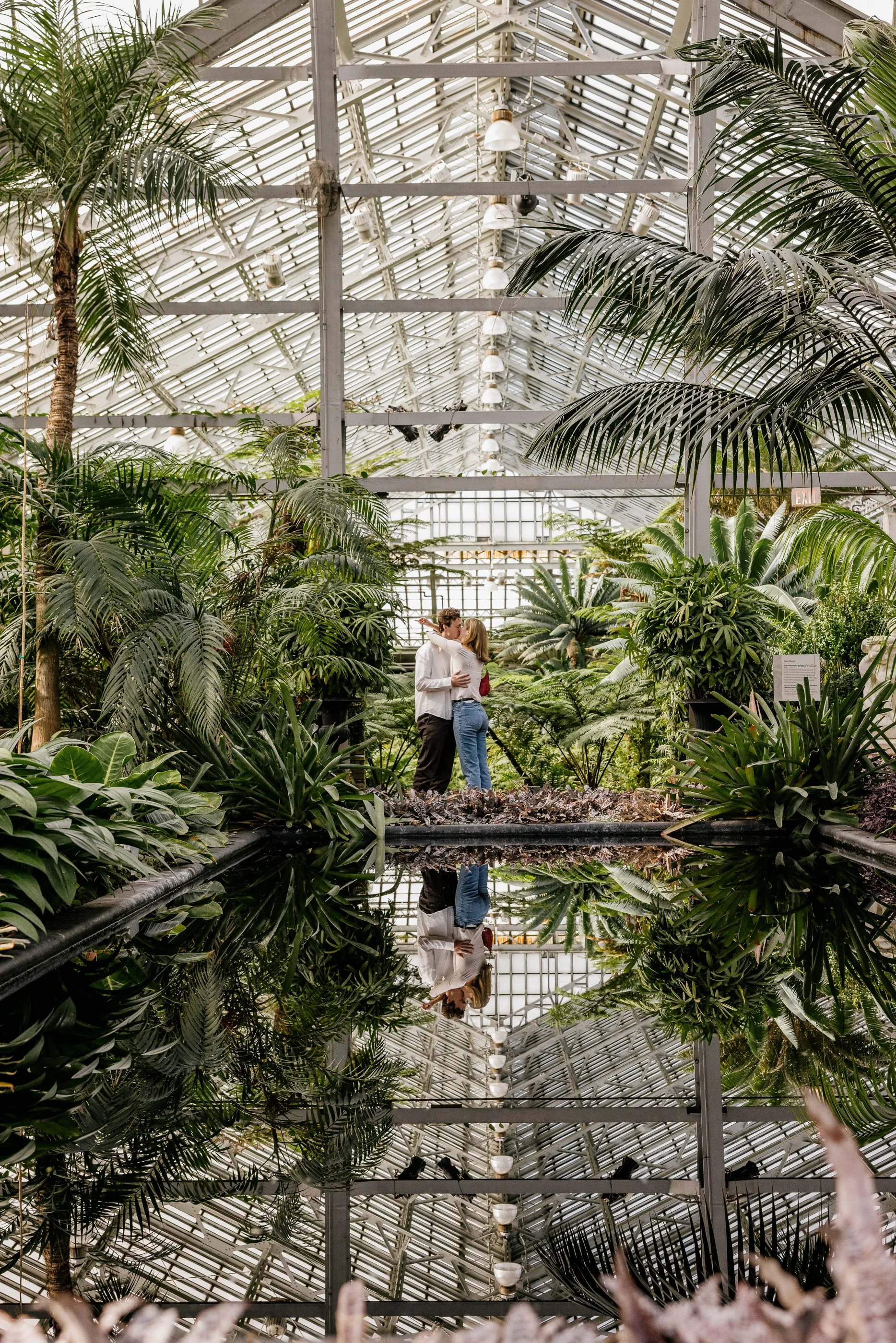 Alex Maldonado Photography-Cole + Kristen - Garfield Park Conservatory261024-13.jpg