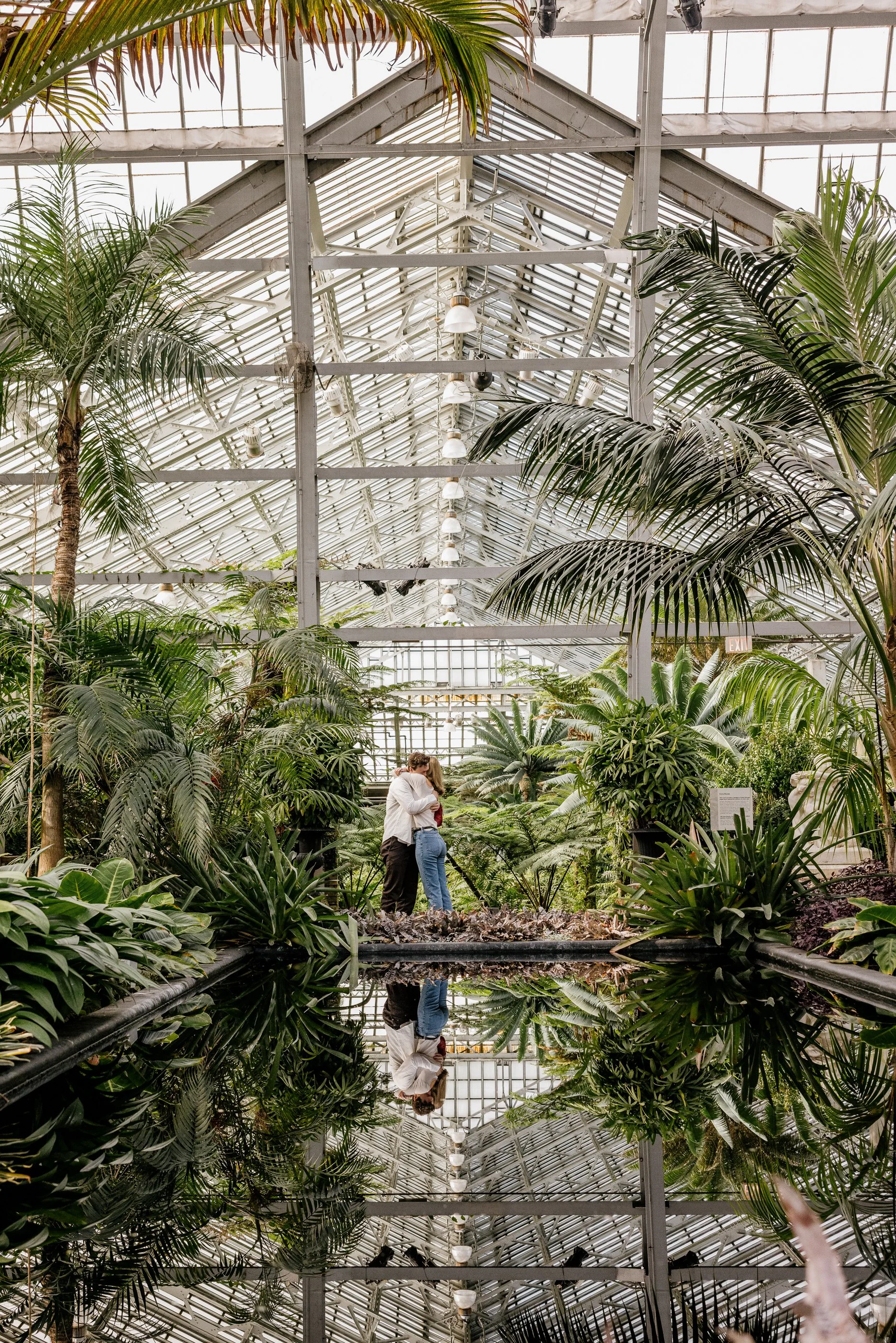 Alex Maldonado Photography-Cole + Kristen - Garfield Park Conservatory261024-14.jpg