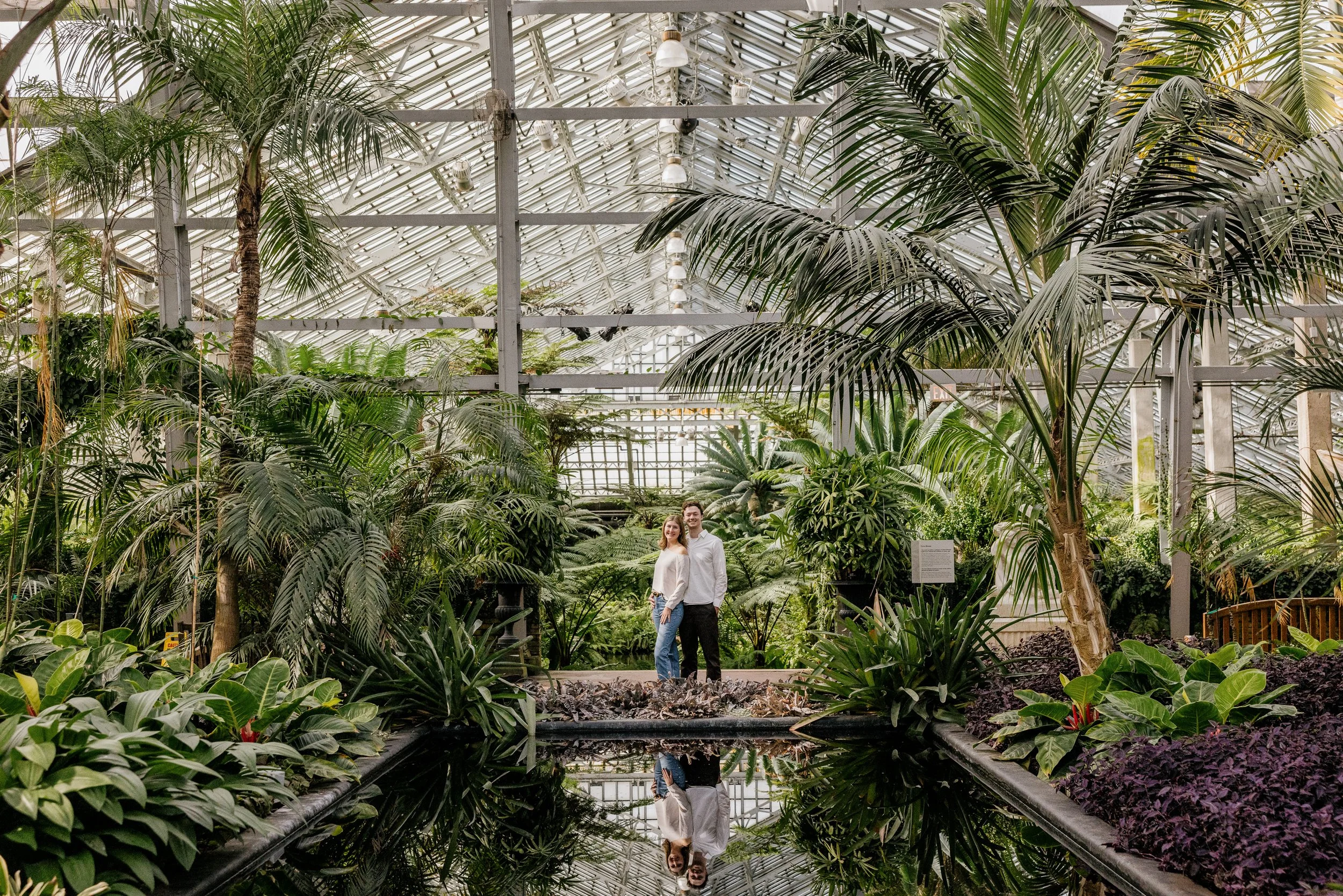 Alex Maldonado Photography-Cole + Kristen - Garfield Park Conservatory261024-20.jpg