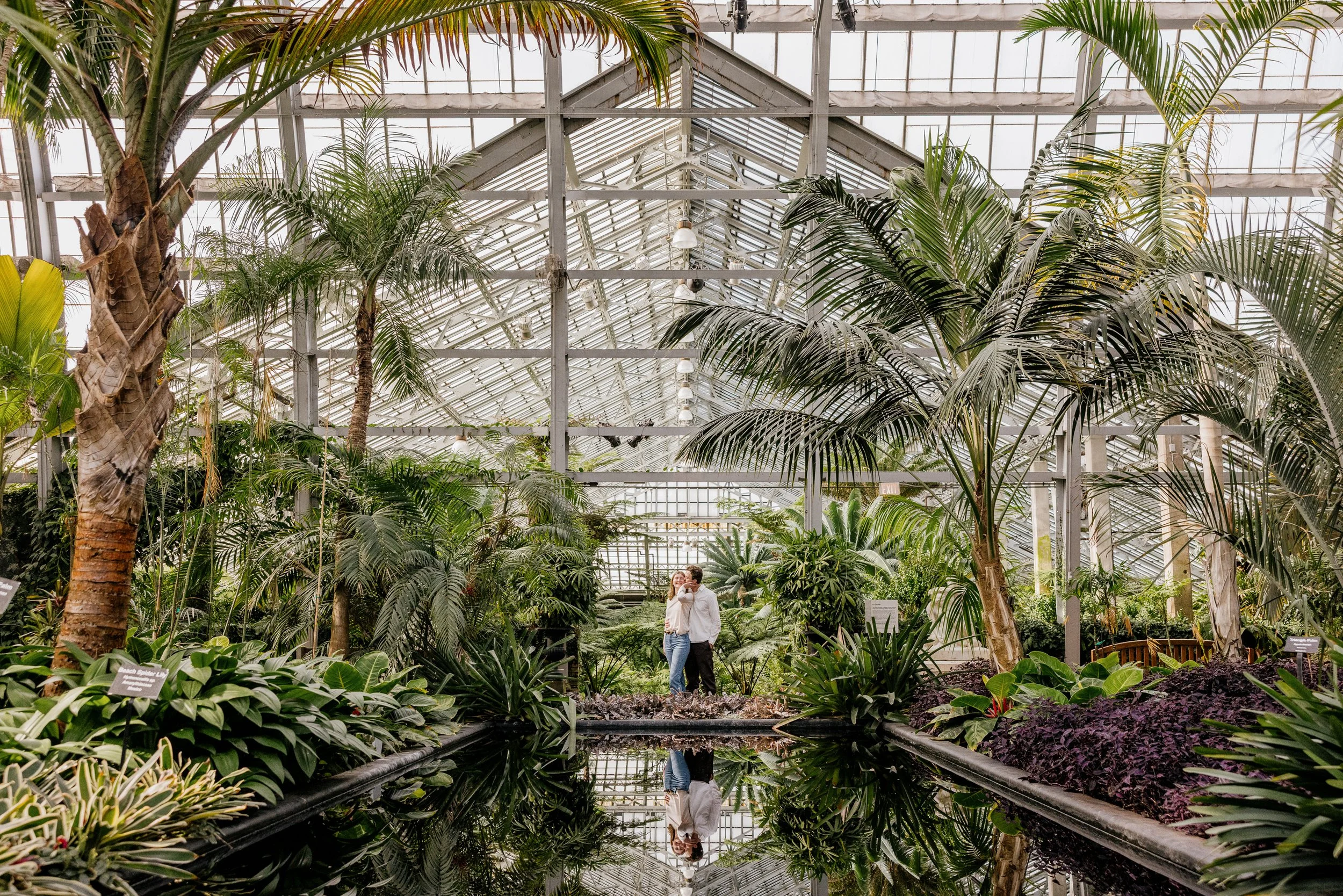 Alex Maldonado Photography-Cole + Kristen - Garfield Park Conservatory261024-21.jpg