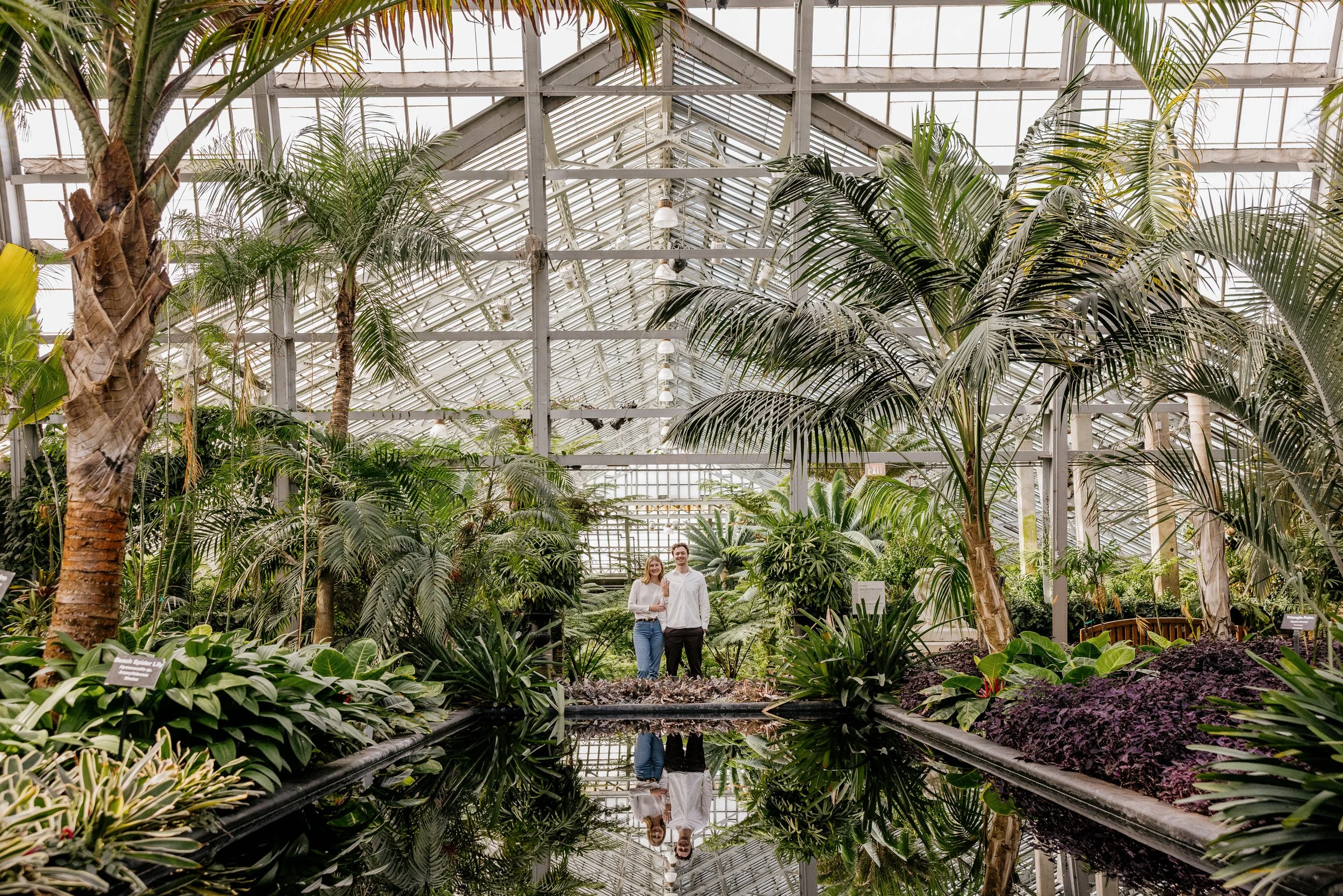 Alex Maldonado Photography-Cole + Kristen - Garfield Park Conservatory261024-23.jpg