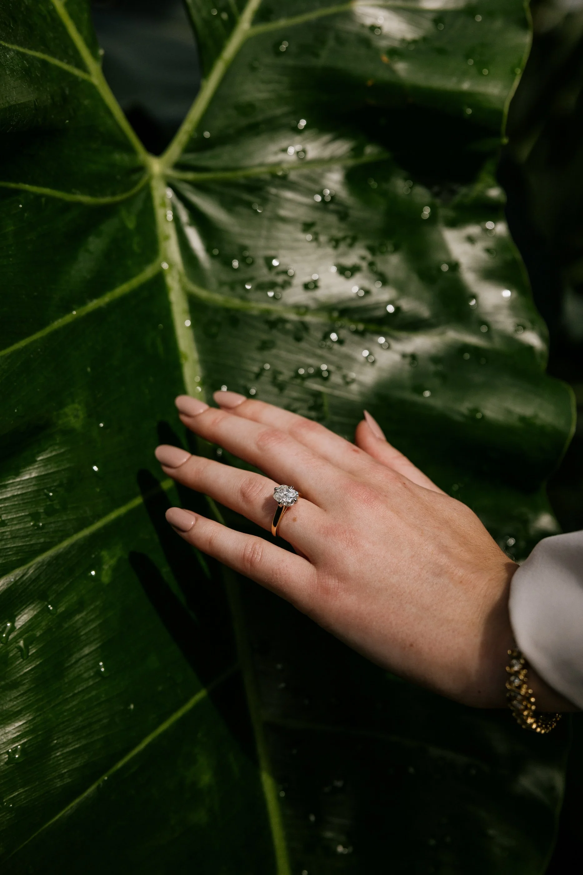 Alex Maldonado Photography-Cole + Kristen - Garfield Park Conservatory261024-33.jpg