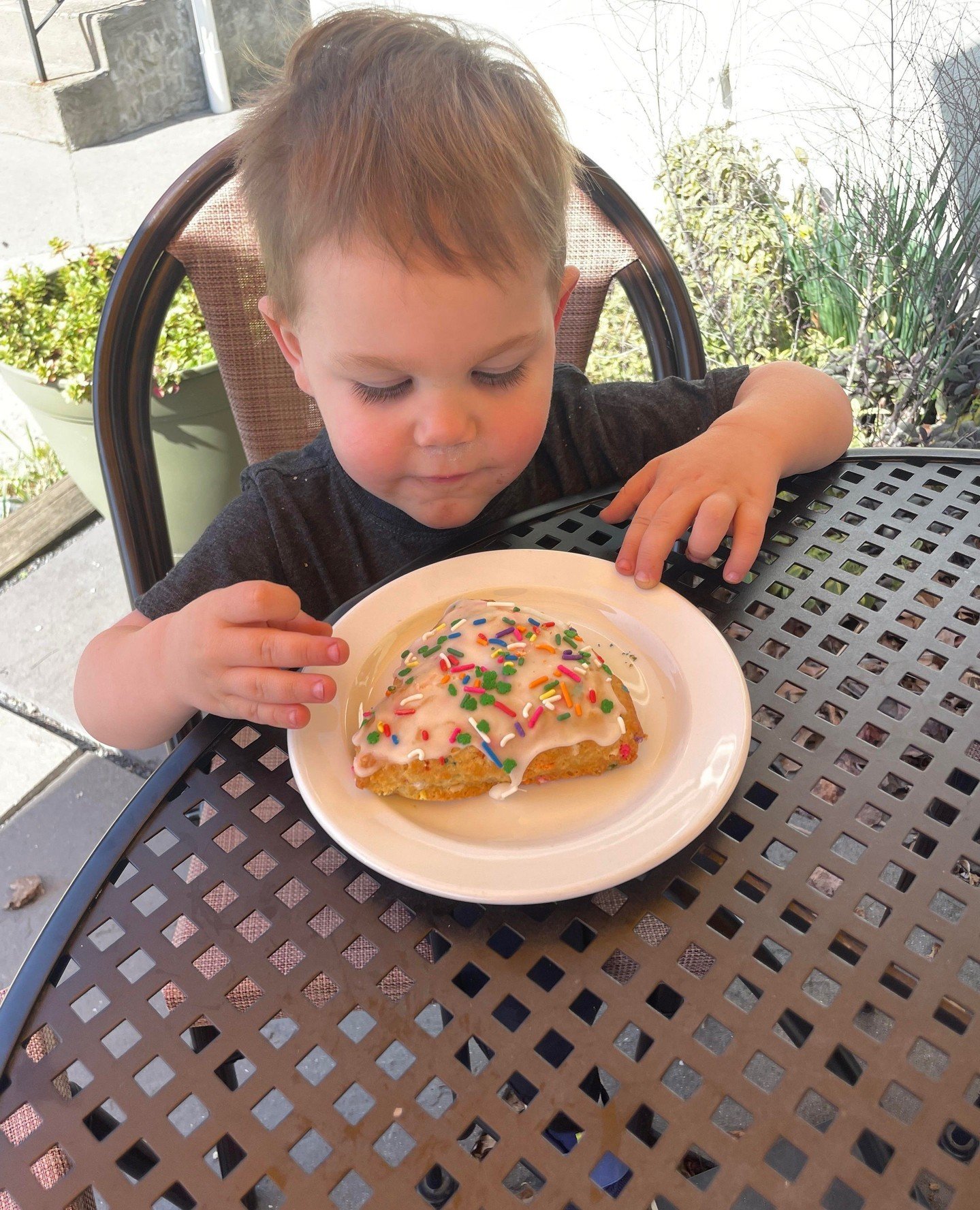 Confetti Scones-- kid tested, kid approved! Just ask Austin! It's even yummier than it looks! (Warning: may cause zoomies***)⁠
⁠
#drinkfeine #scone #pastry #confettiscone #bakery #coffeeshop #coffeelovers