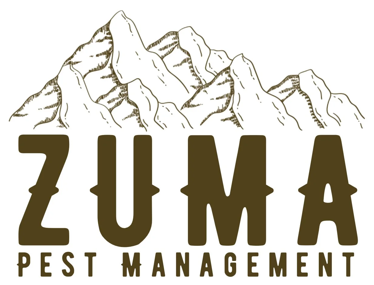 Zuma Pest Management 