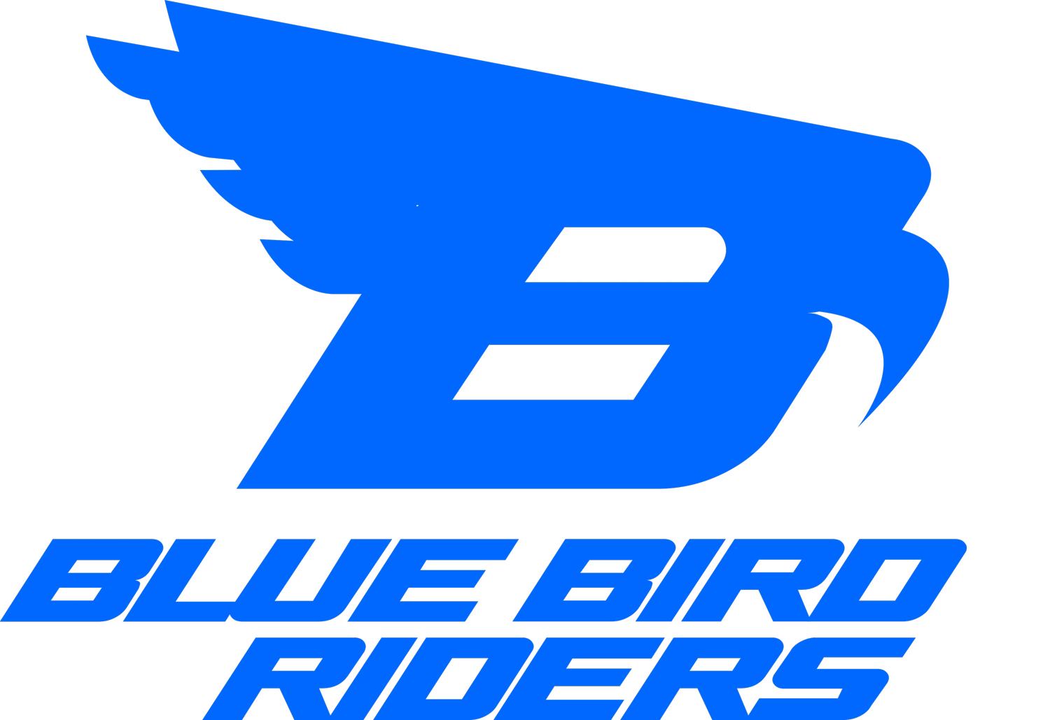 BLUE BIRD RIDERS