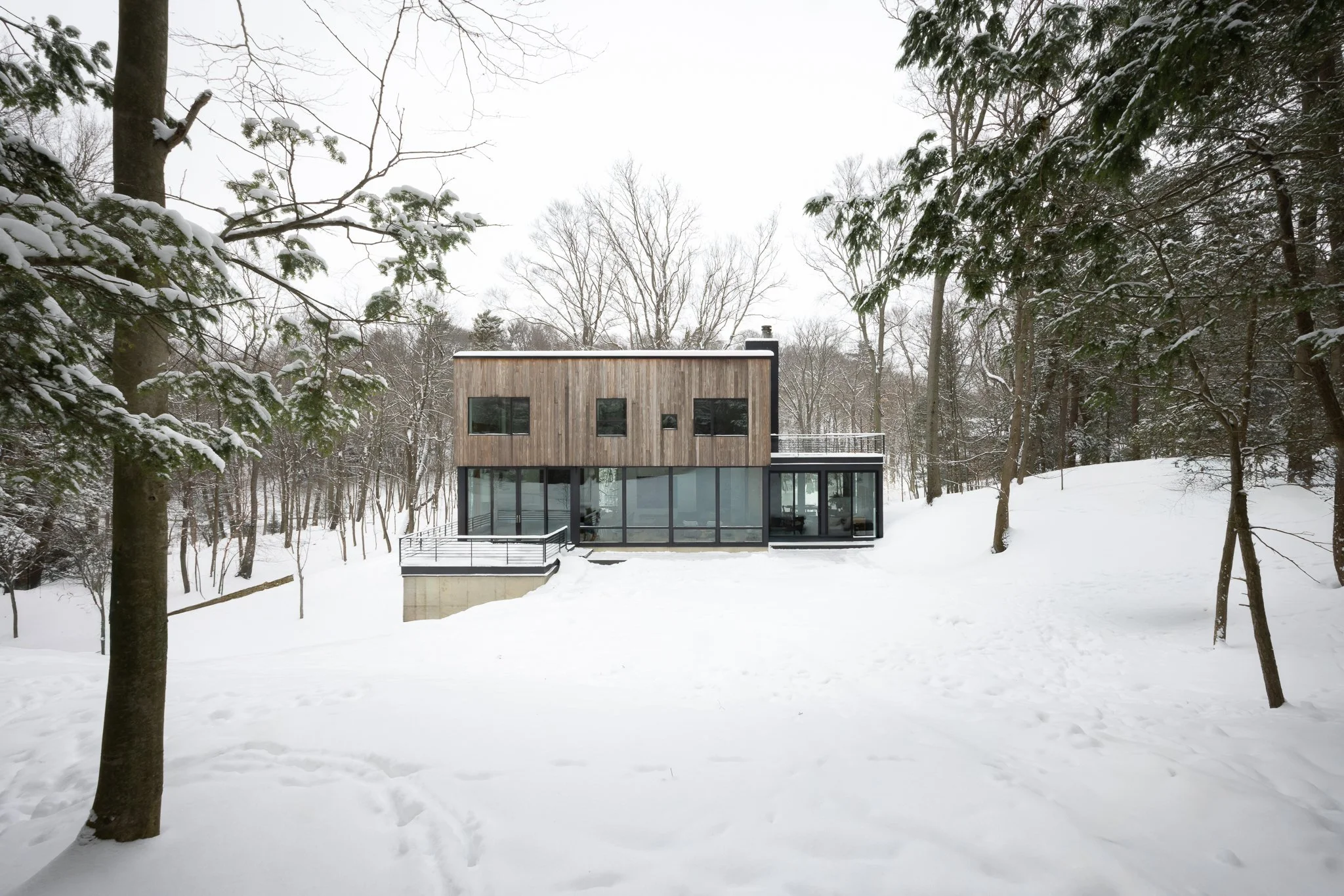 Dunegrass_Winter 11.jpg