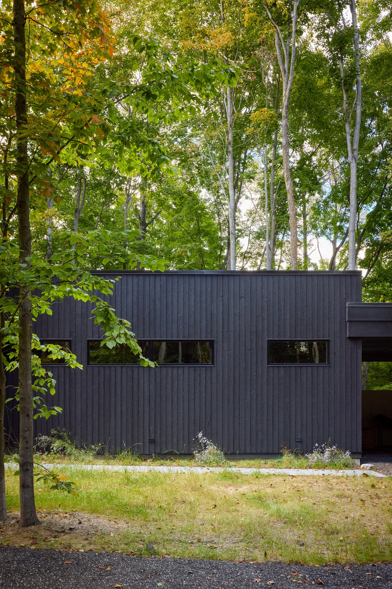 Linehouse_05.jpg