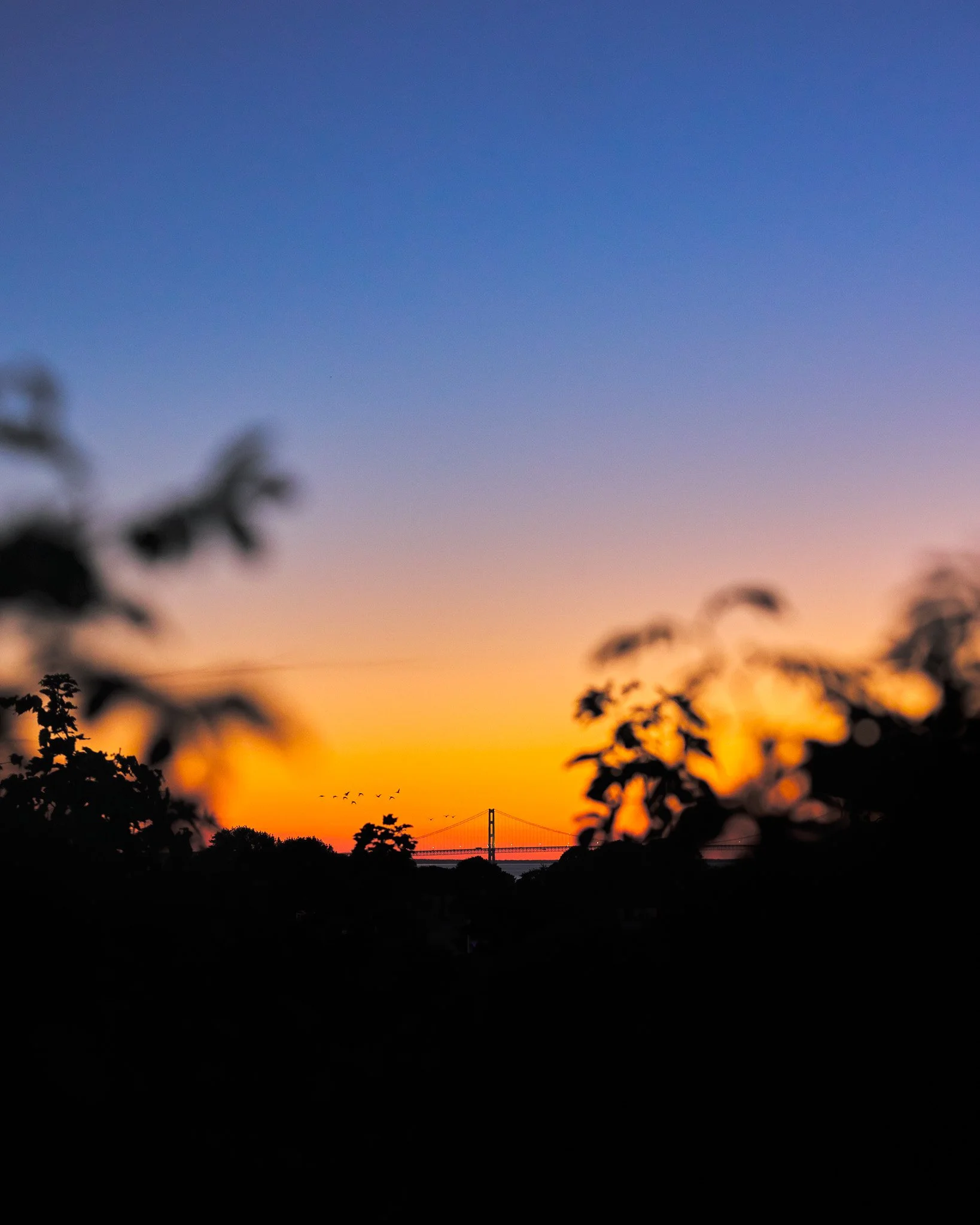 Mackinac Bridge_02.jpg