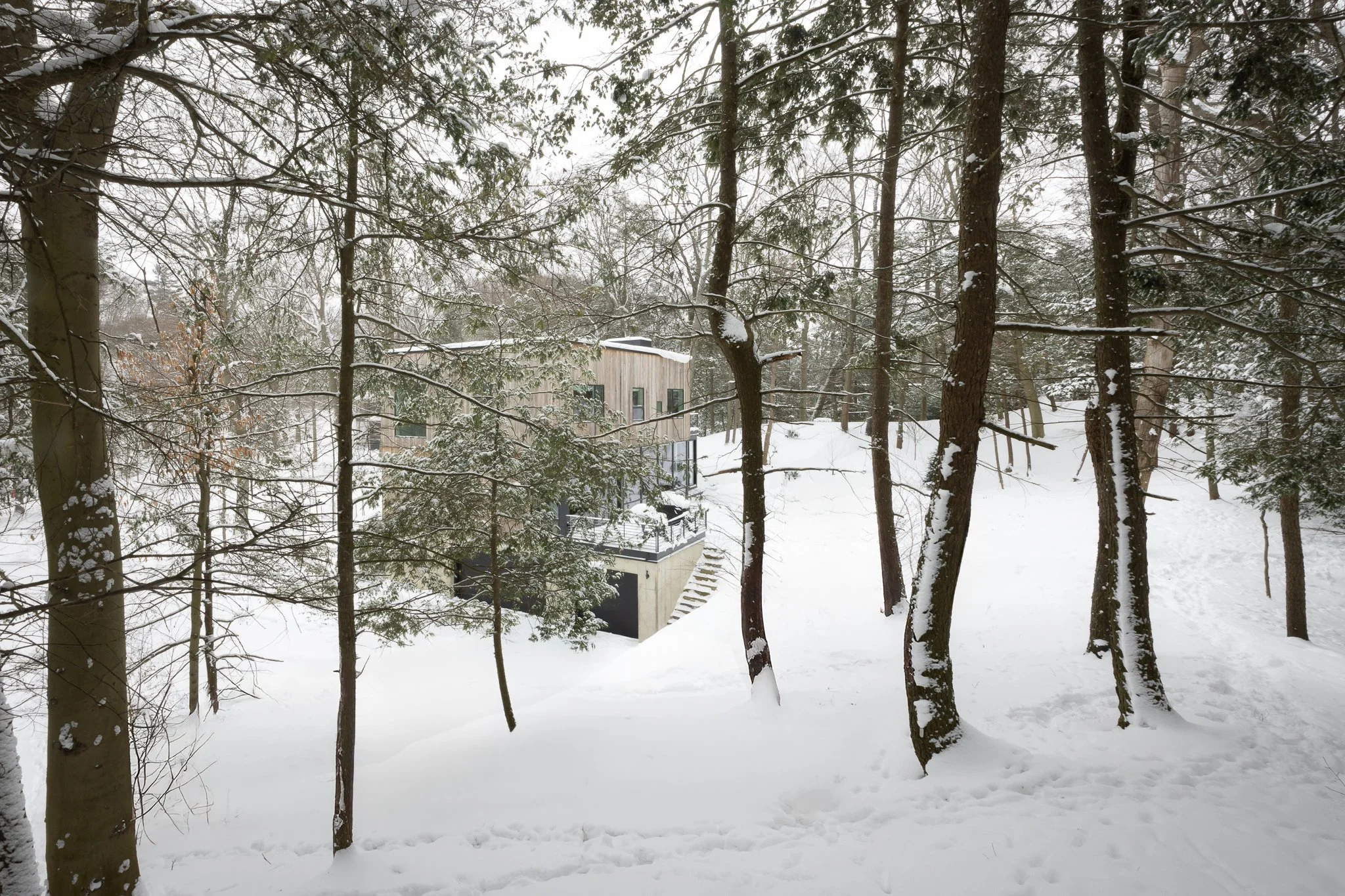 Dunegrass_Winter 10.jpg
