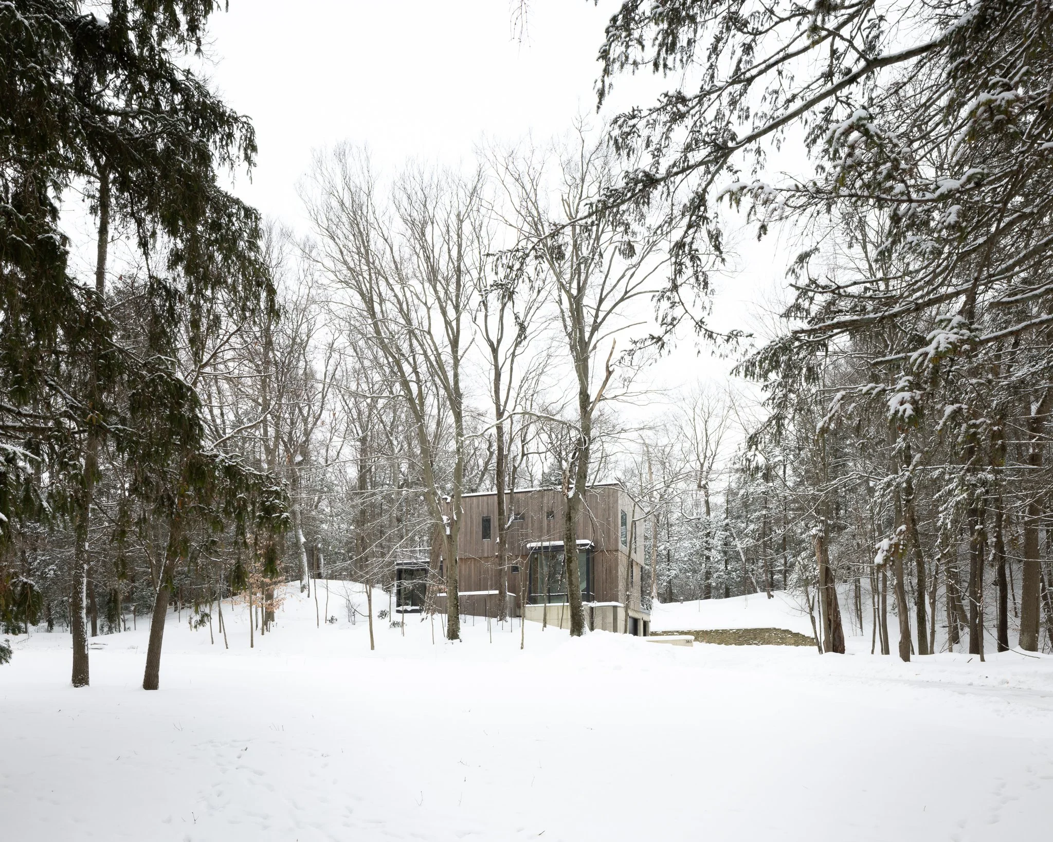Dunegrass_Winter 02.jpg