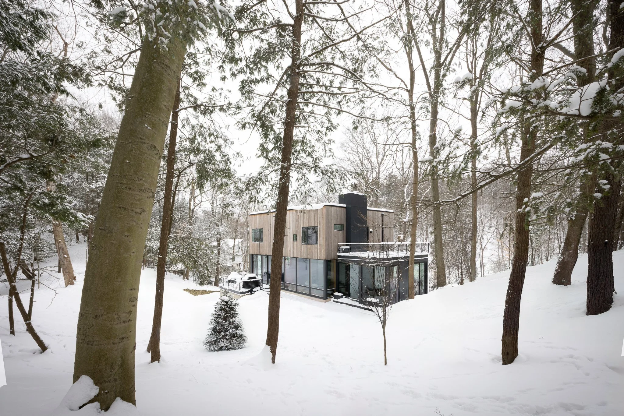 Dunegrass_Winter 12.jpg