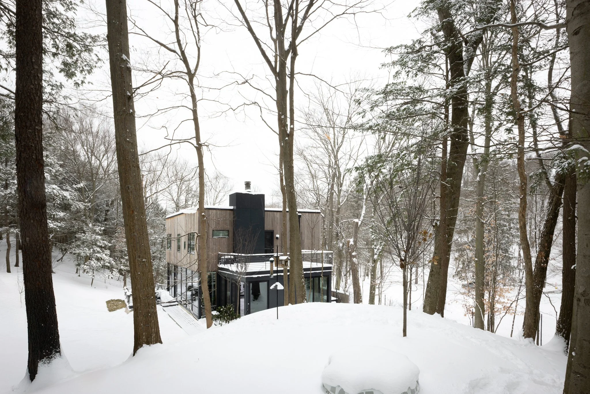 Dunegrass_Winter 13.jpg
