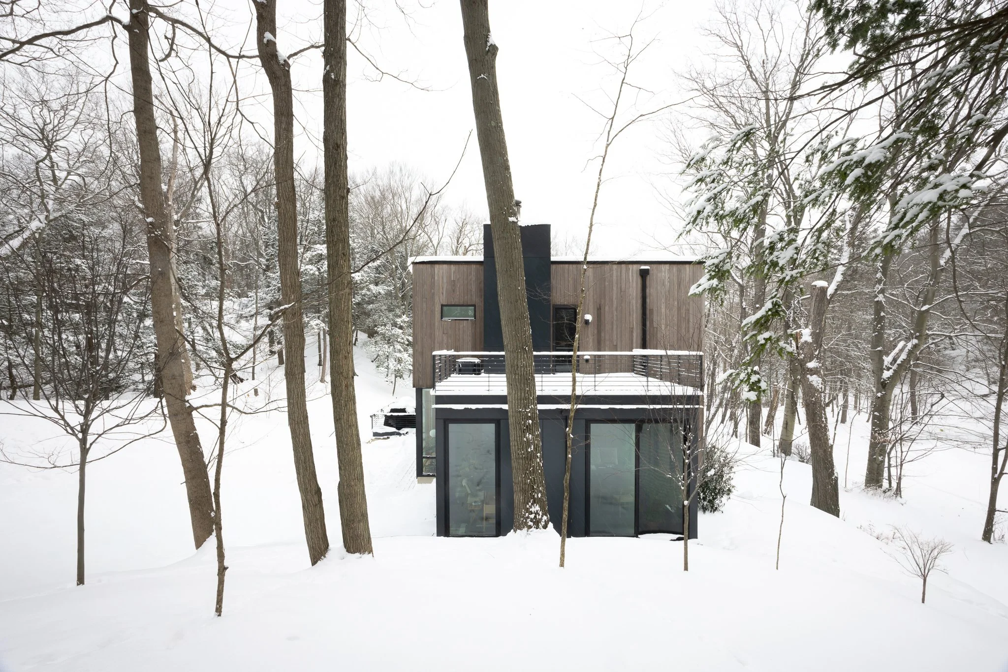 Dunegrass_Winter 14.jpg