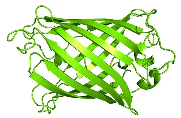 Biomanufacturing in 4 Ages